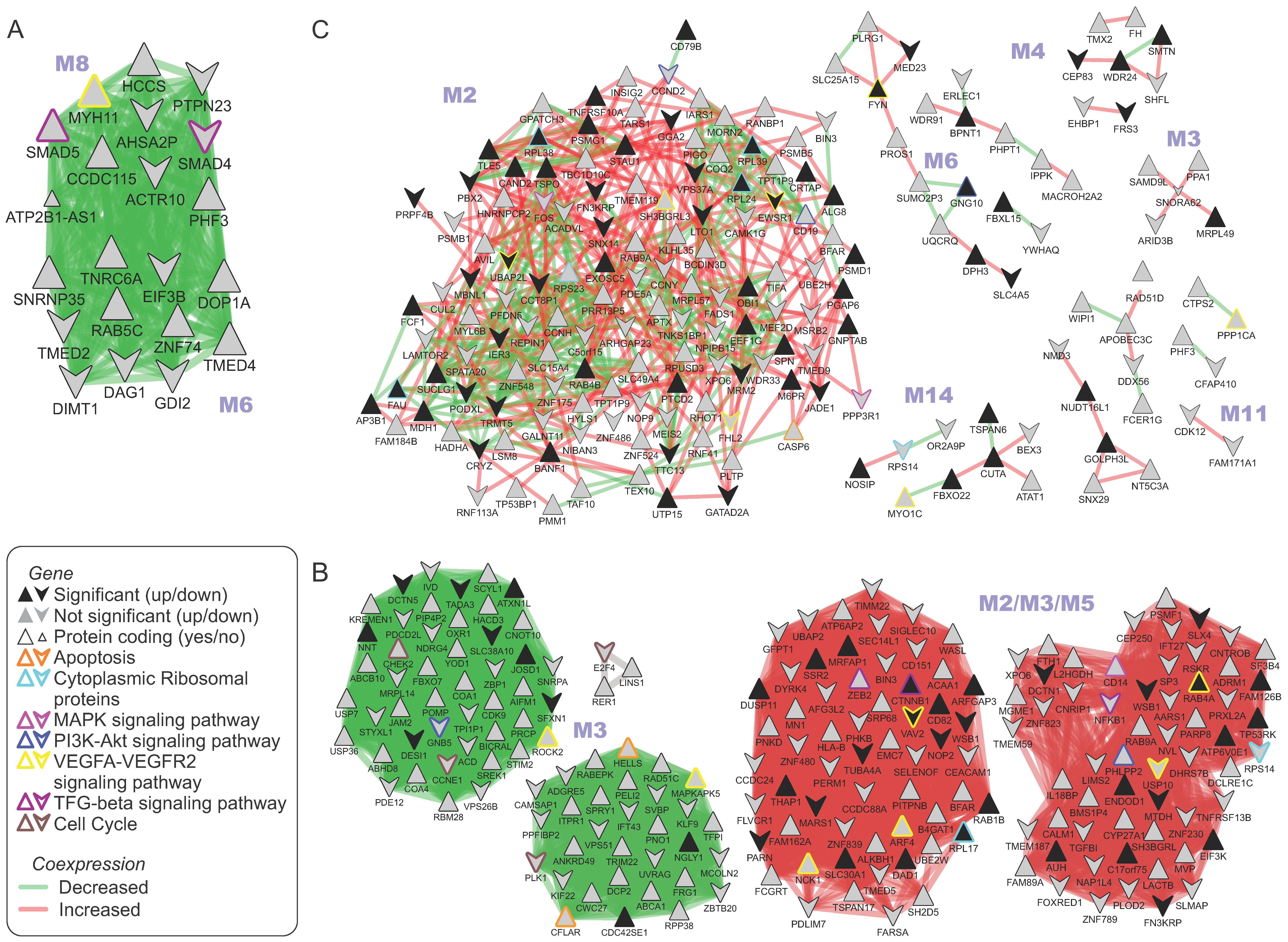 Ijms 25 07298 g003 Ijms 25 07298 g003