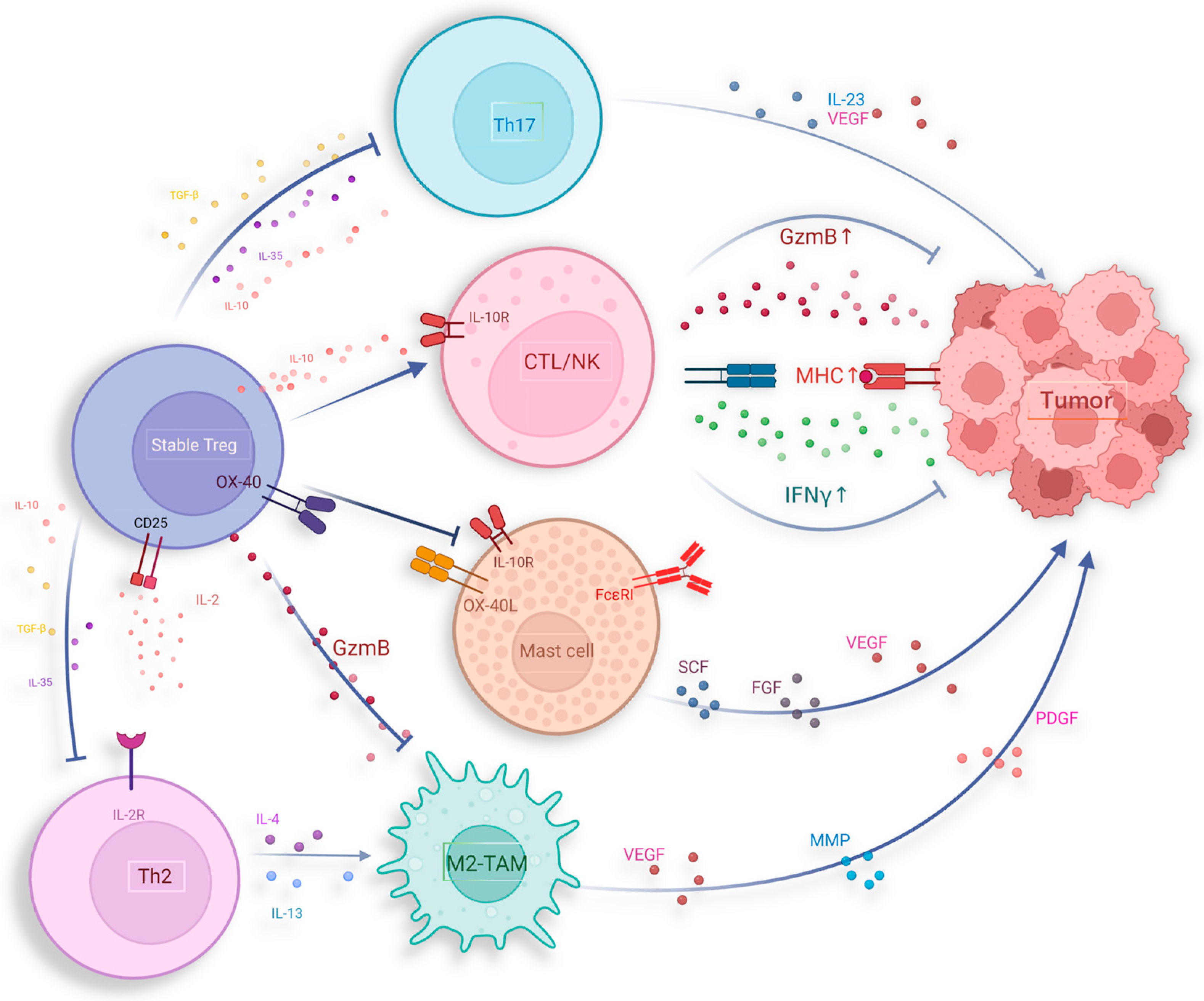 Ijms 25 07346 g003 Ijms 25 07346 g003