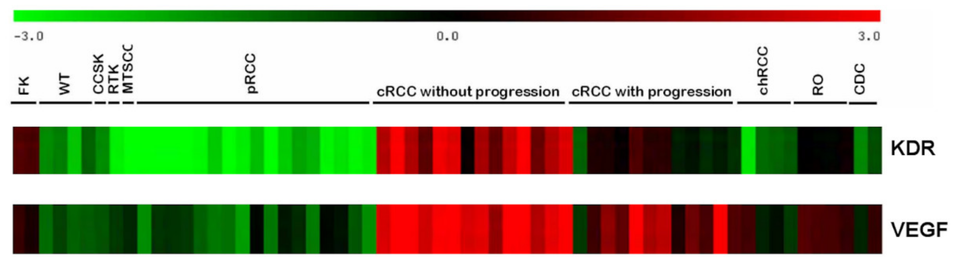 Ijms 25 07359 g001 Ijms 25 07359 g001