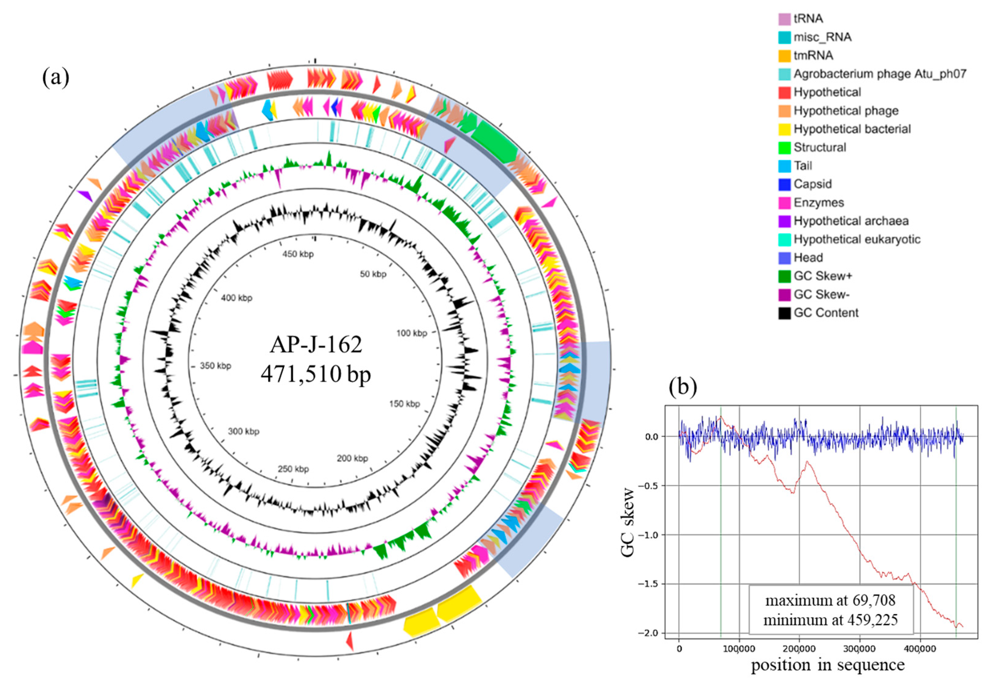 Ijms 25 07388 g003 Ijms 25 07388 g003
