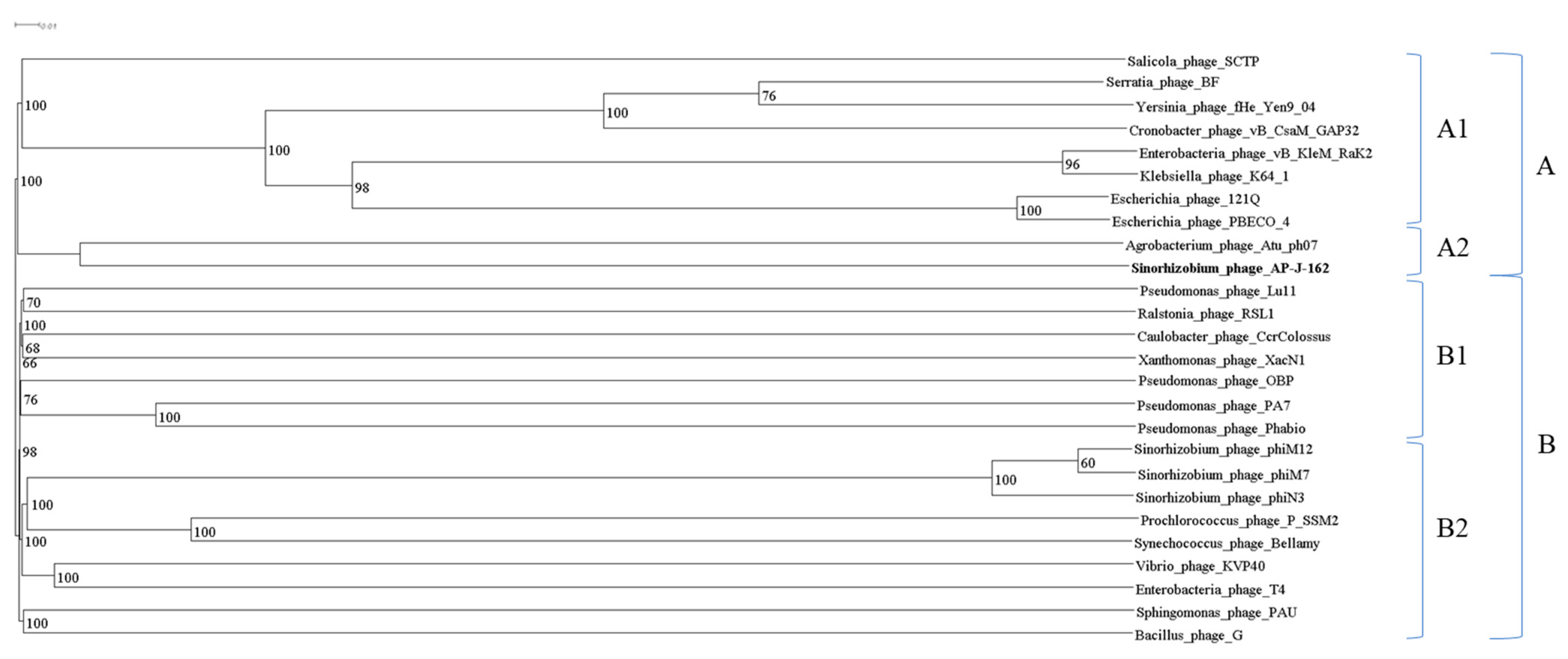 Ijms 25 07388 g004 Ijms 25 07388 g004