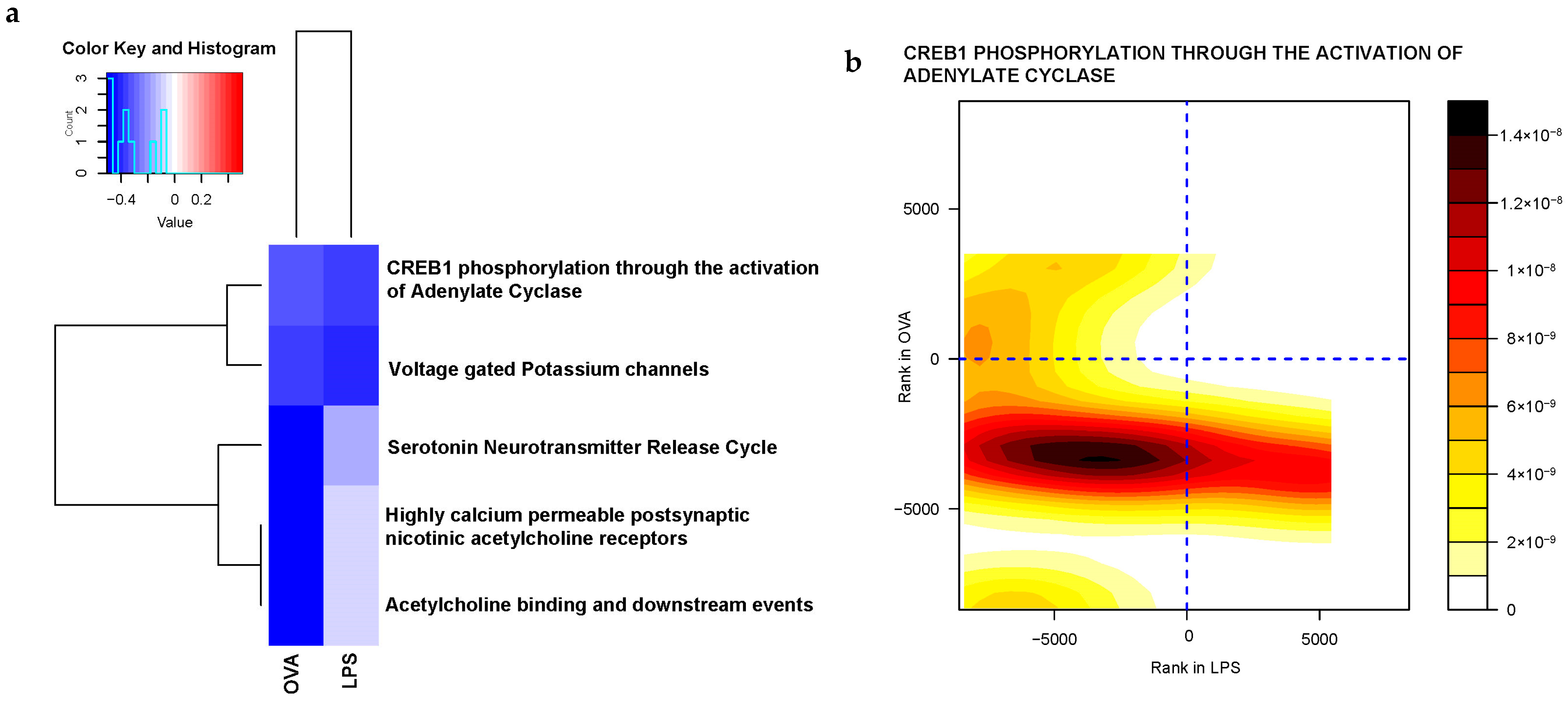 Ijms 25 07391 g003a Ijms 25 07391 g003a