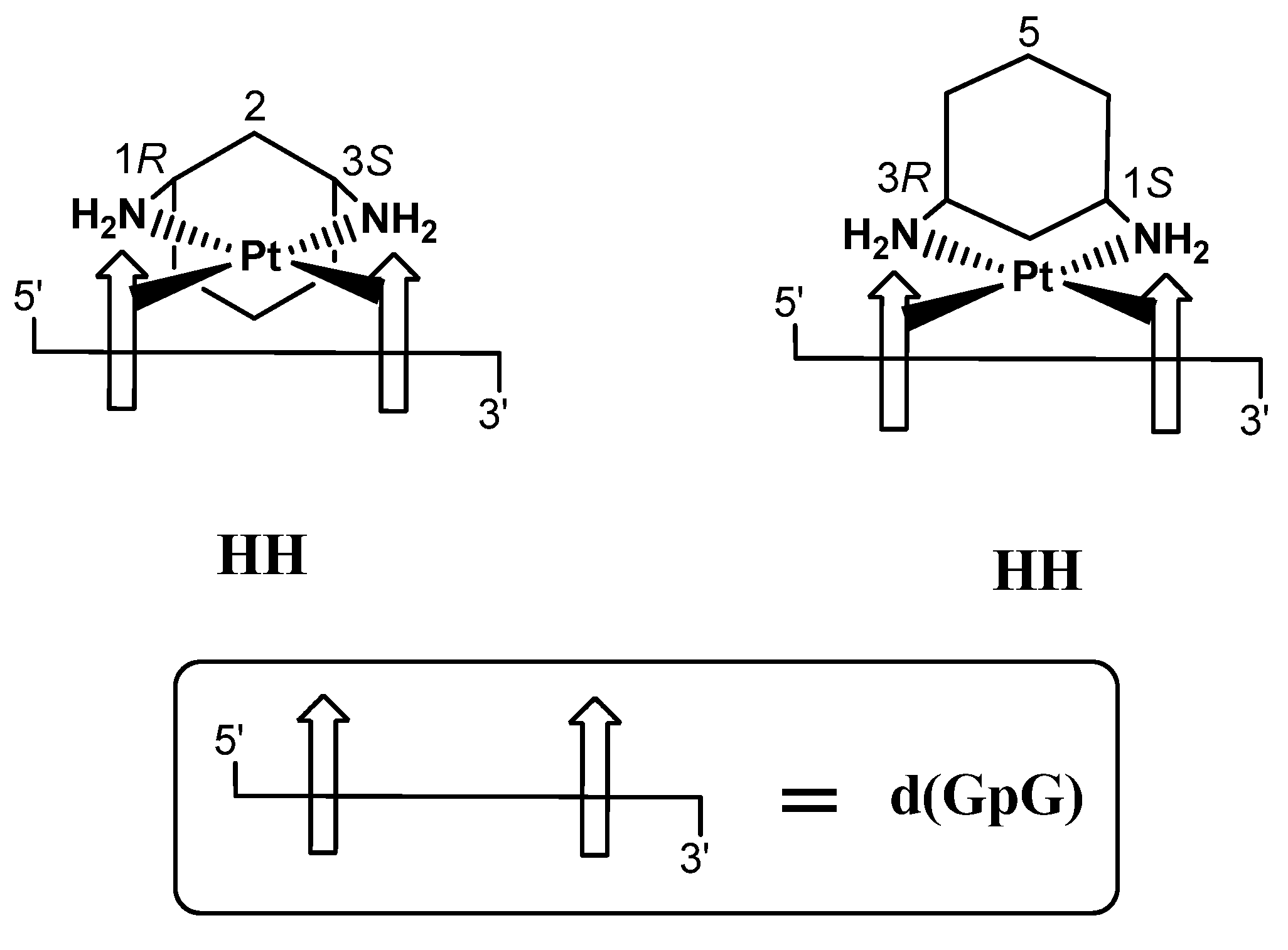 Ijms 25 07392 sch002 Ijms 25 07392 sch002
