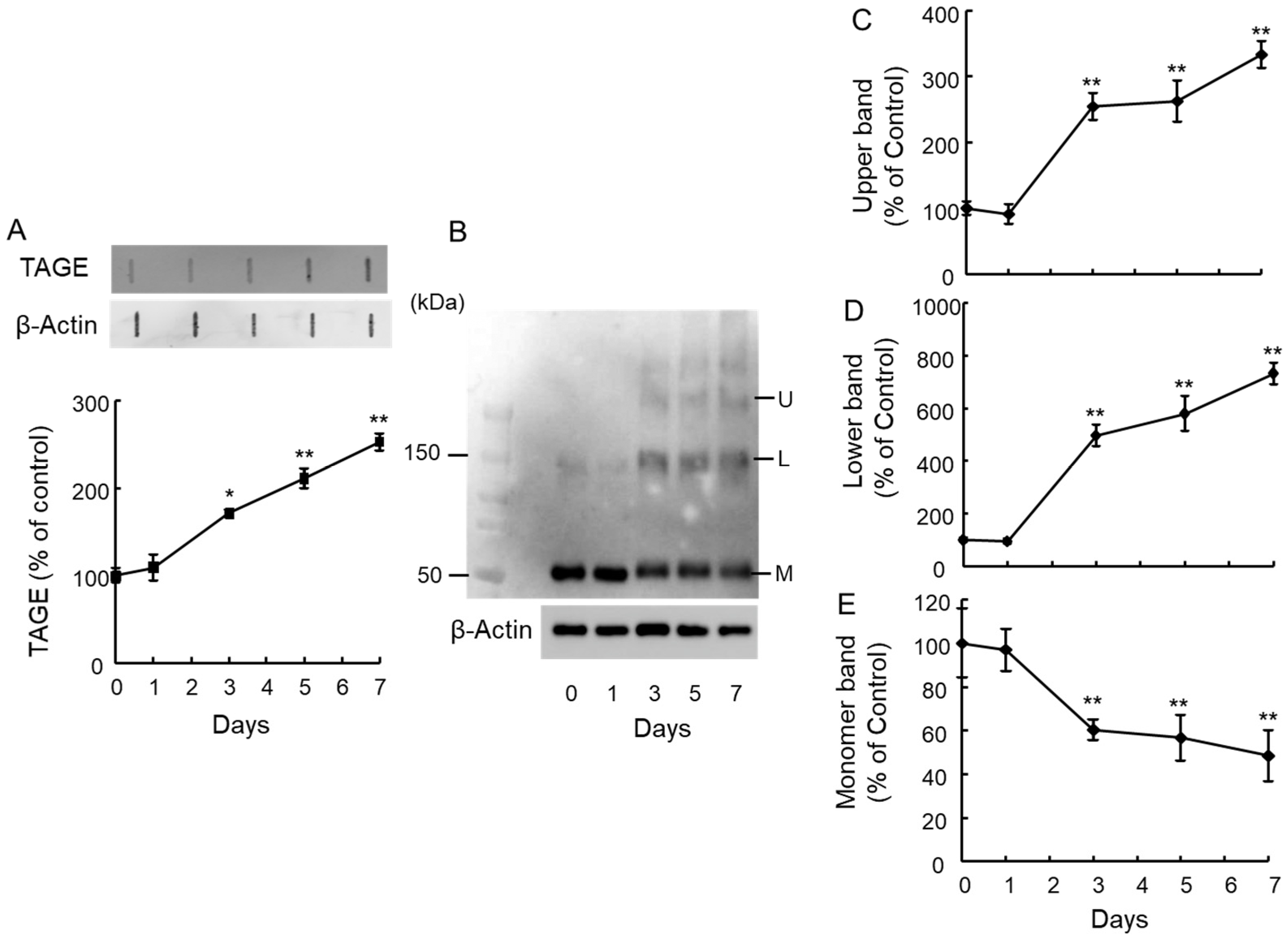 Ijms 25 07409 g001 Ijms 25 07409 g001