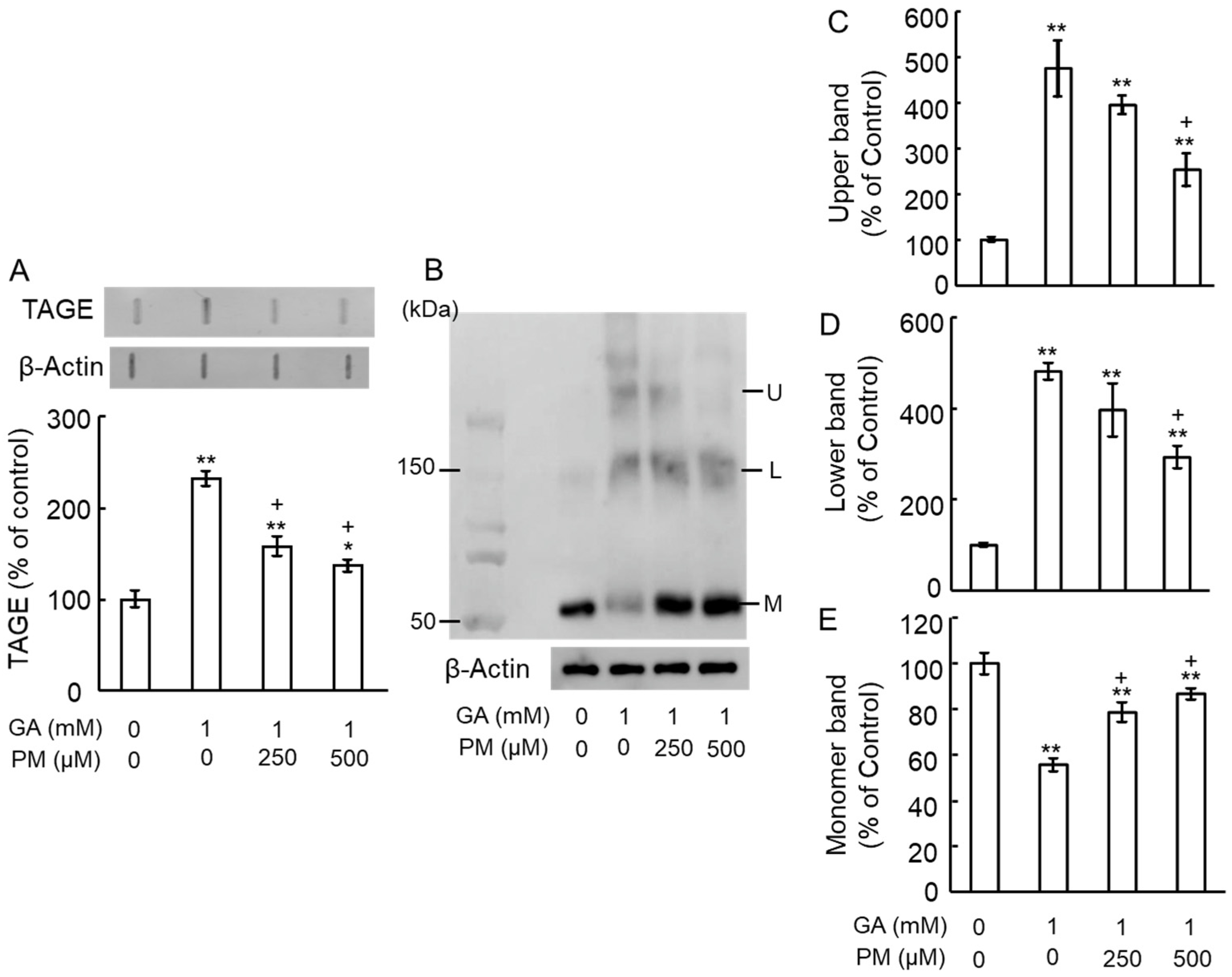 Ijms 25 07409 g003 Ijms 25 07409 g003