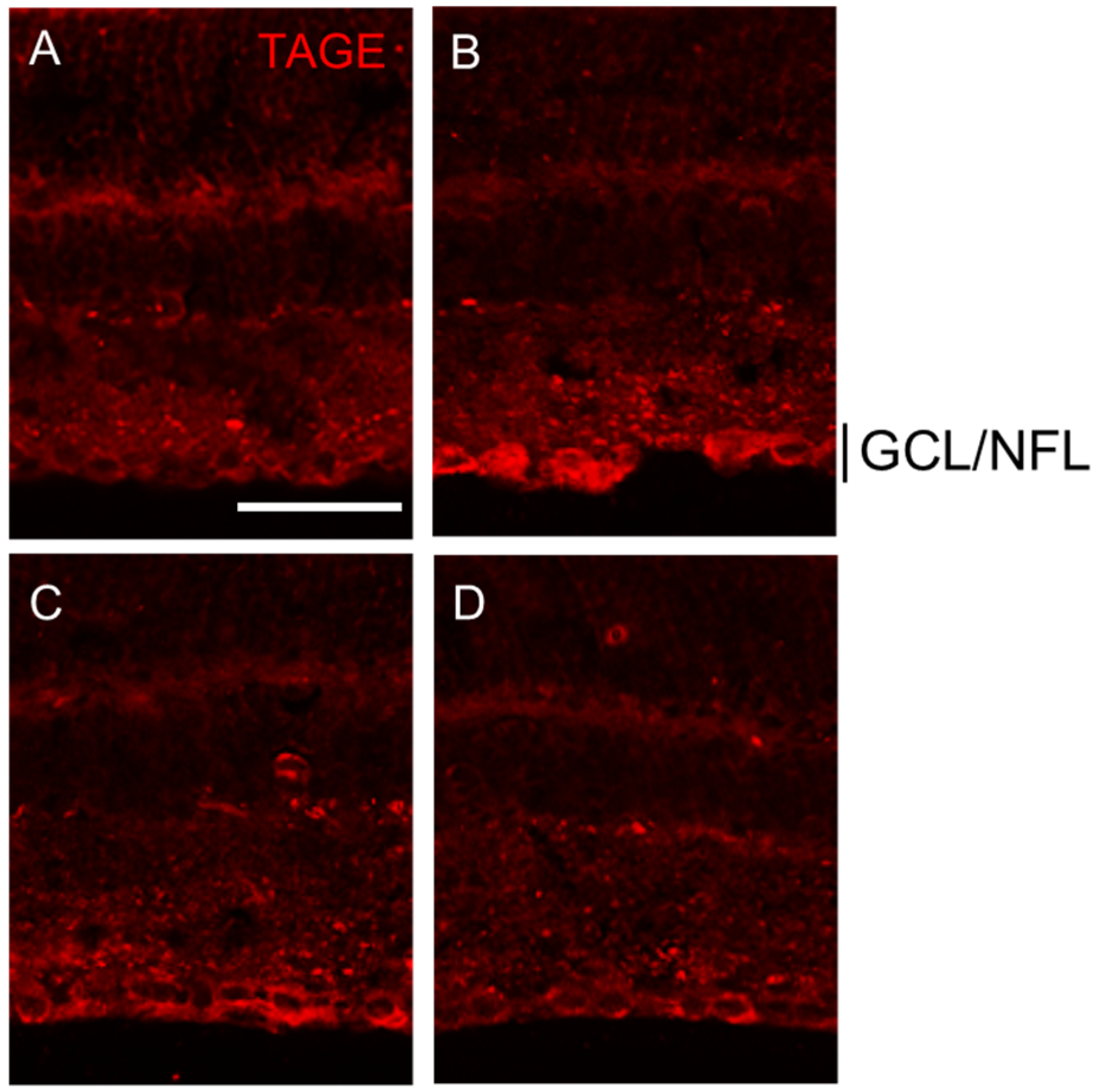 Ijms 25 07409 g004 Ijms 25 07409 g004