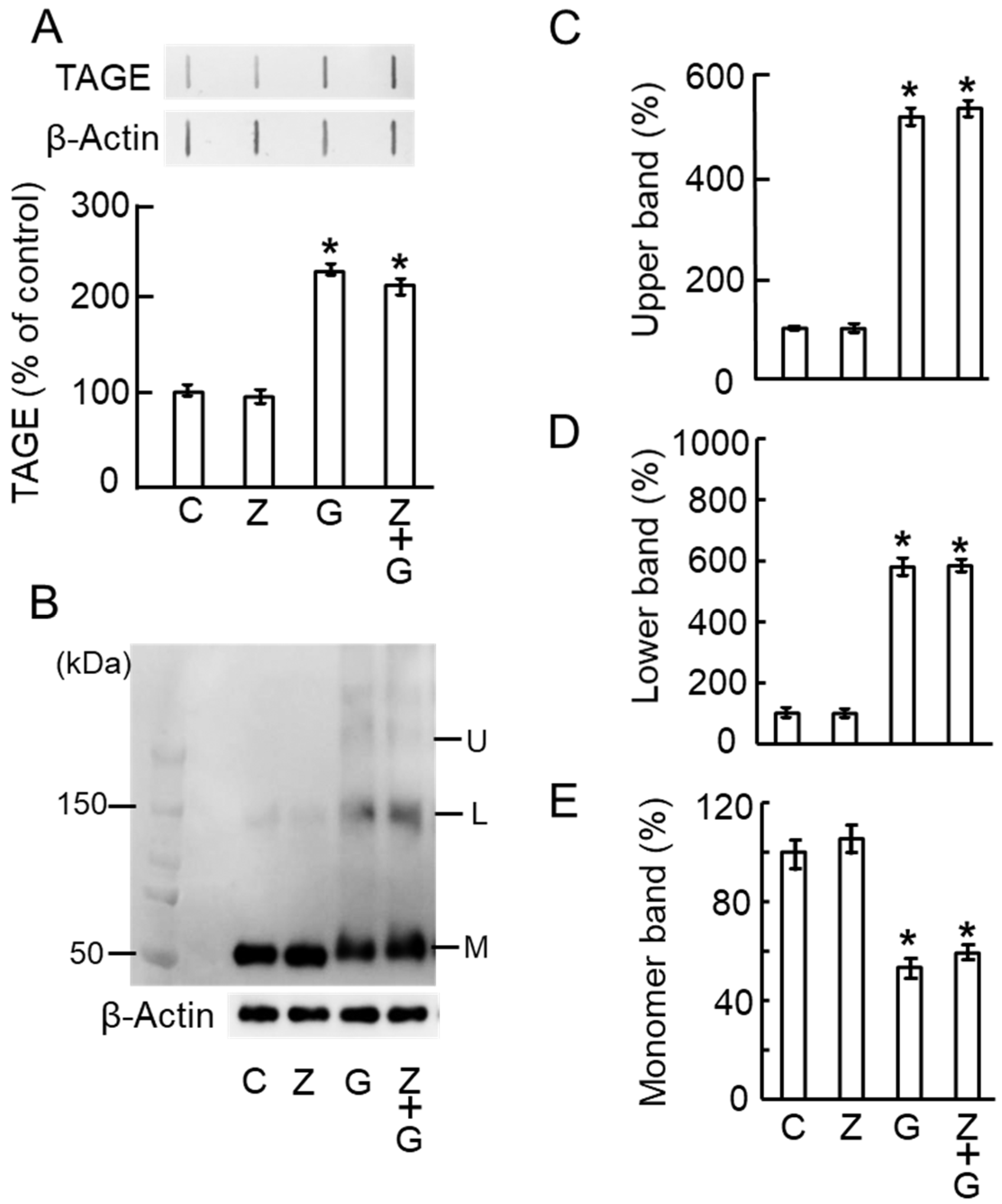 Ijms 25 07409 g005 Ijms 25 07409 g005