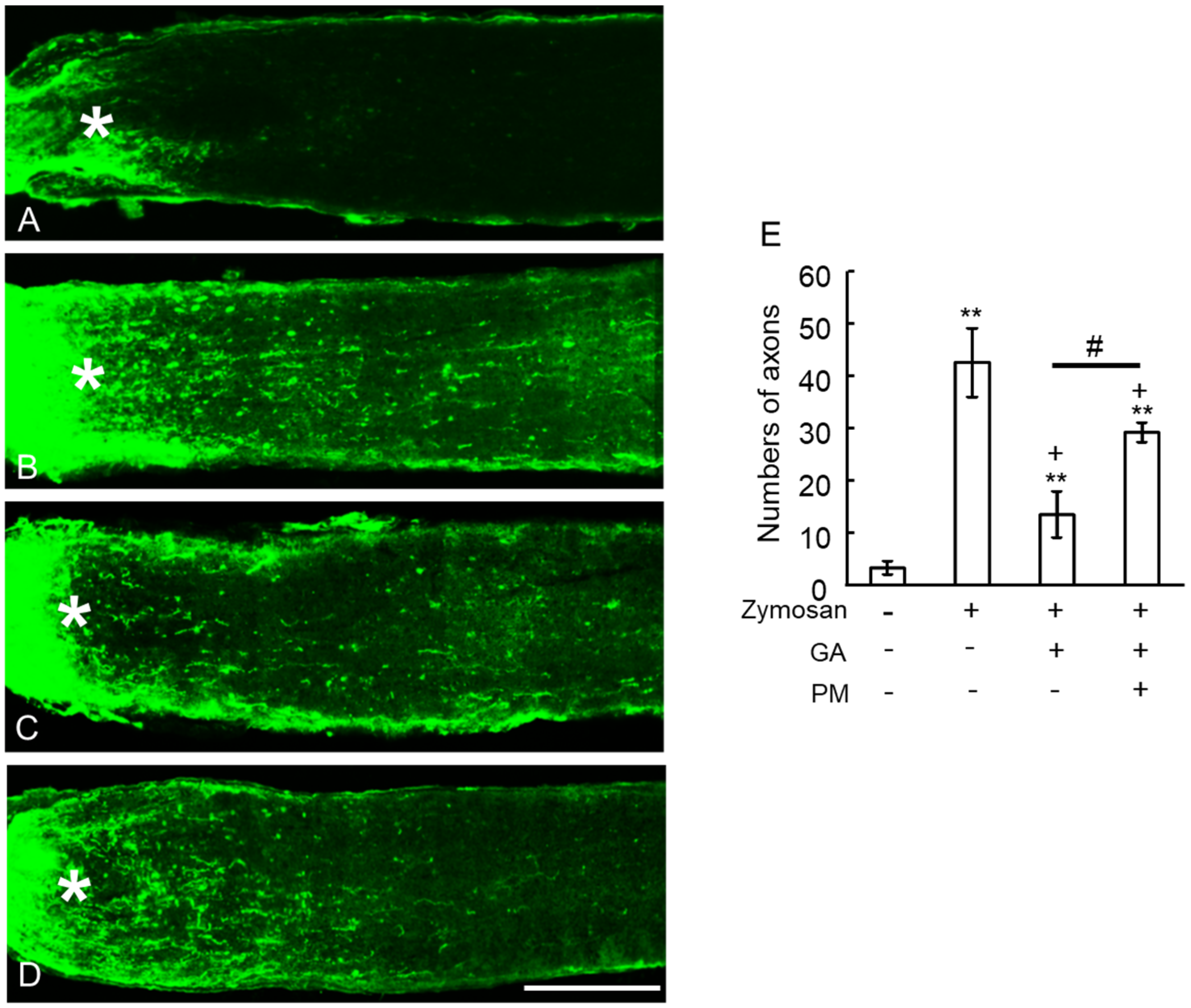 Ijms 25 07409 g006 Ijms 25 07409 g006