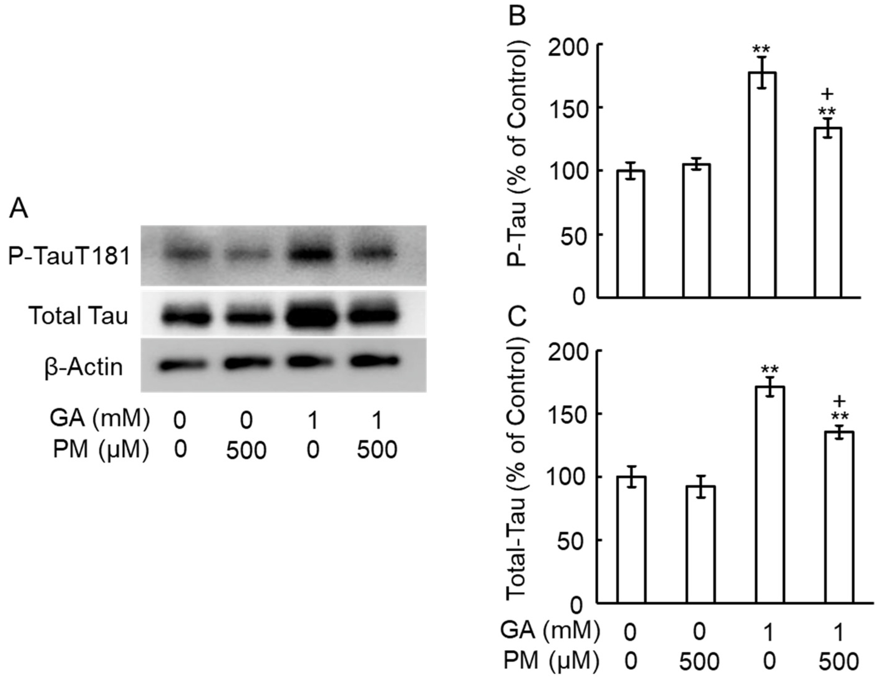 Ijms 25 07409 g007 Ijms 25 07409 g007