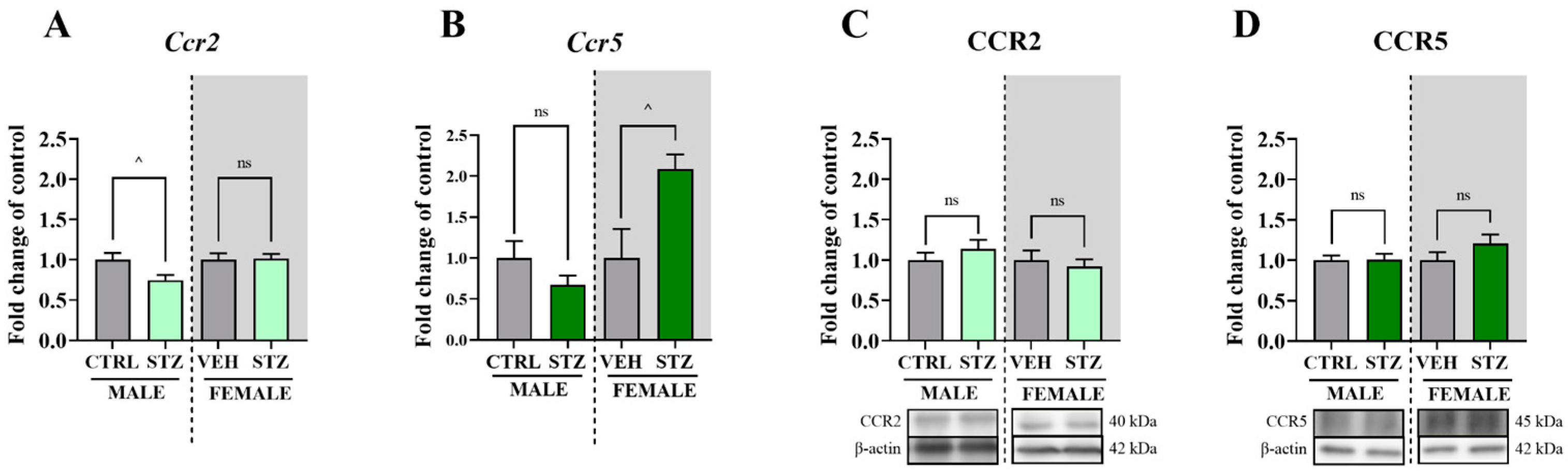 Ijms 25 07410 g004 Ijms 25 07410 g004