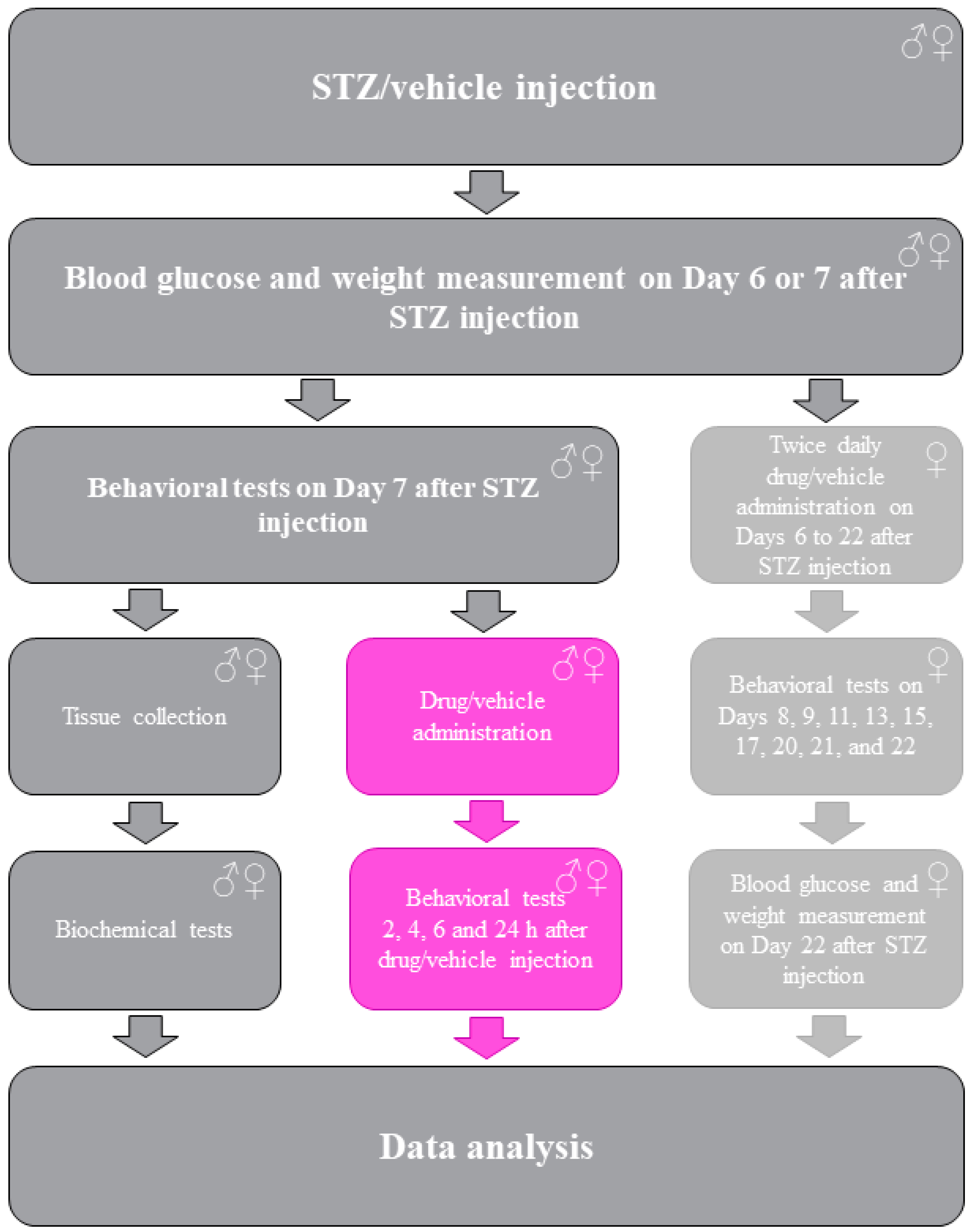 Ijms 25 07410 sch001 Ijms 25 07410 sch001