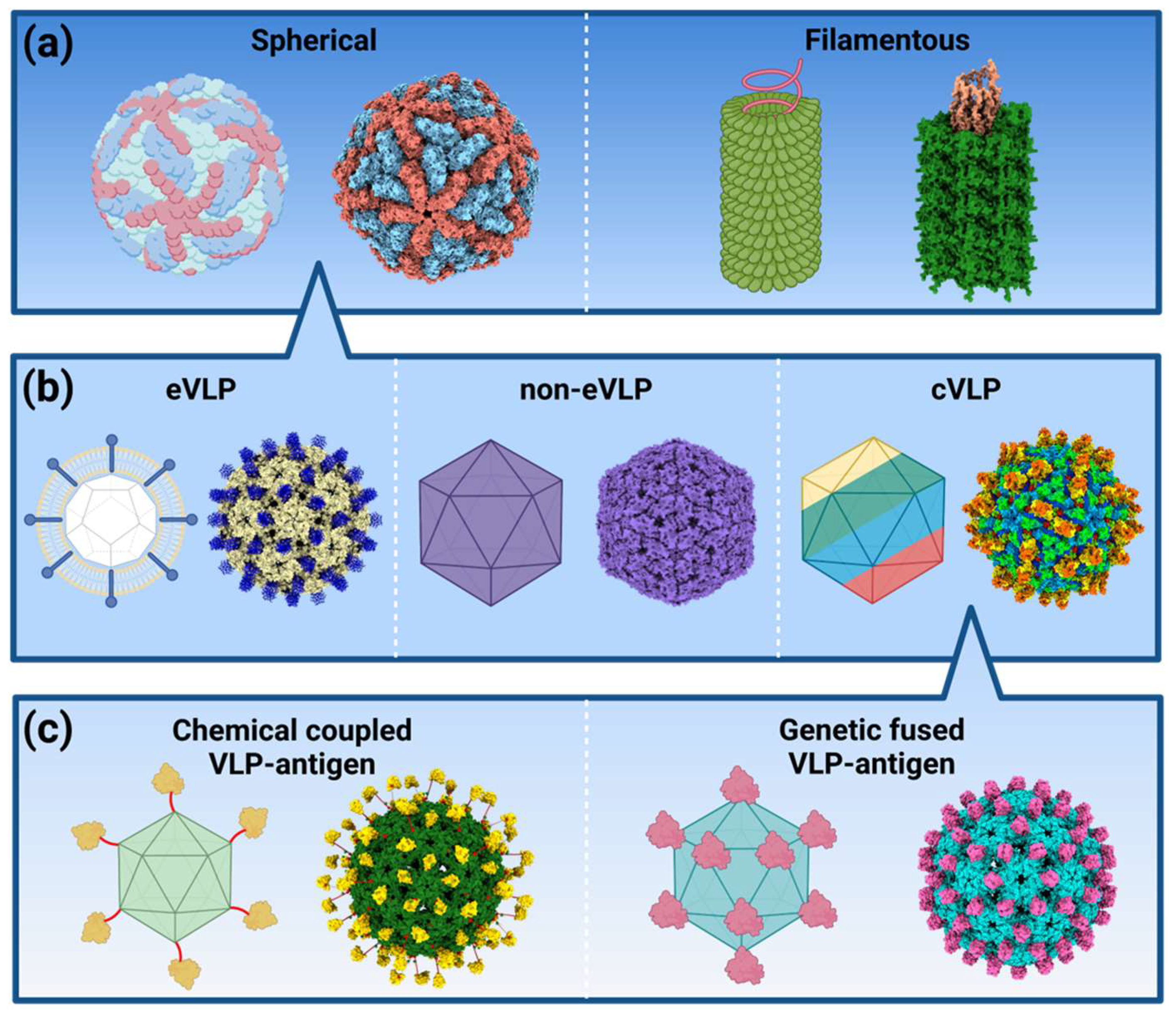 Ijms 25 07429 g002 Ijms 25 07429 g002