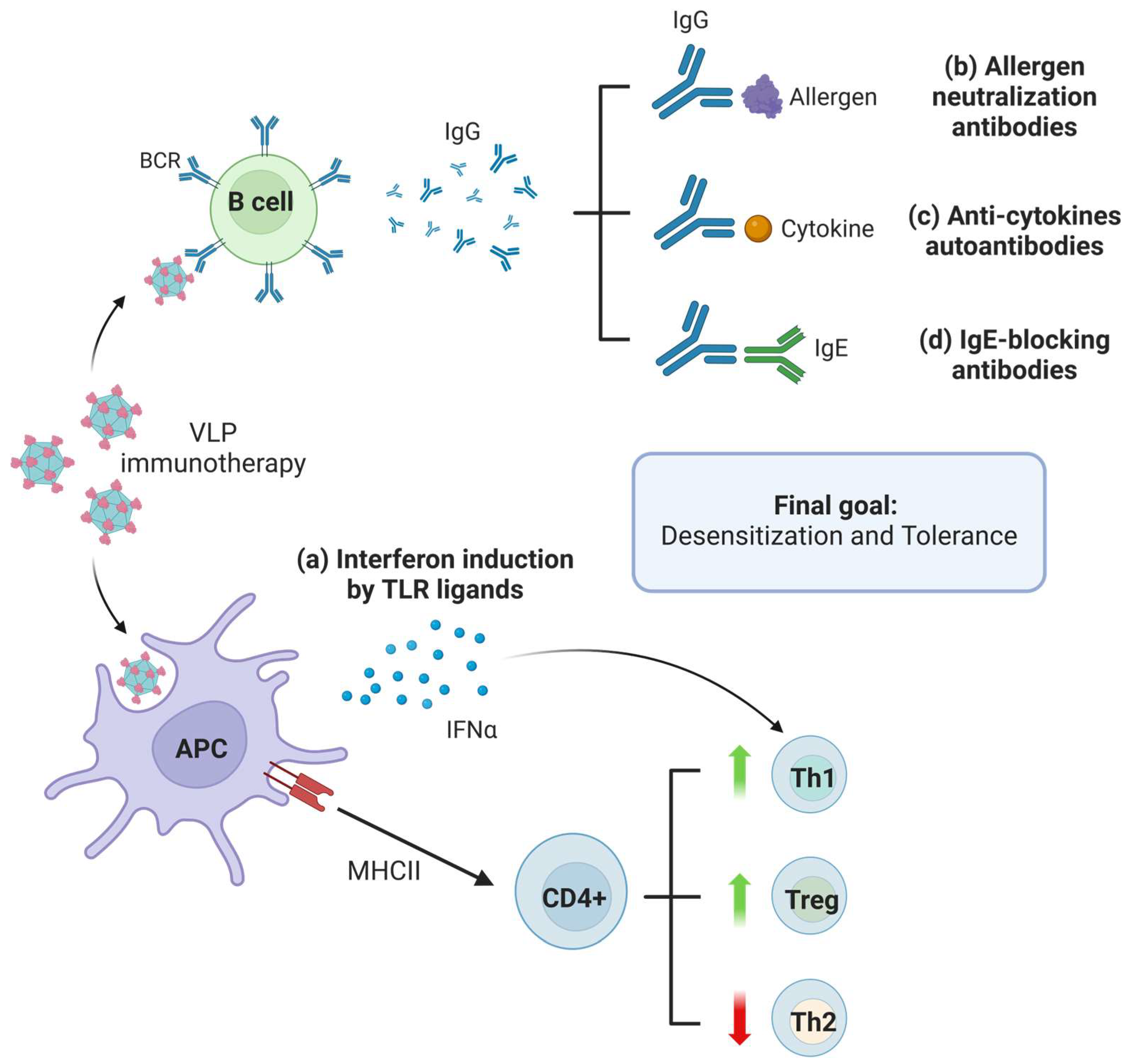 Ijms 25 07429 g003 Ijms 25 07429 g003