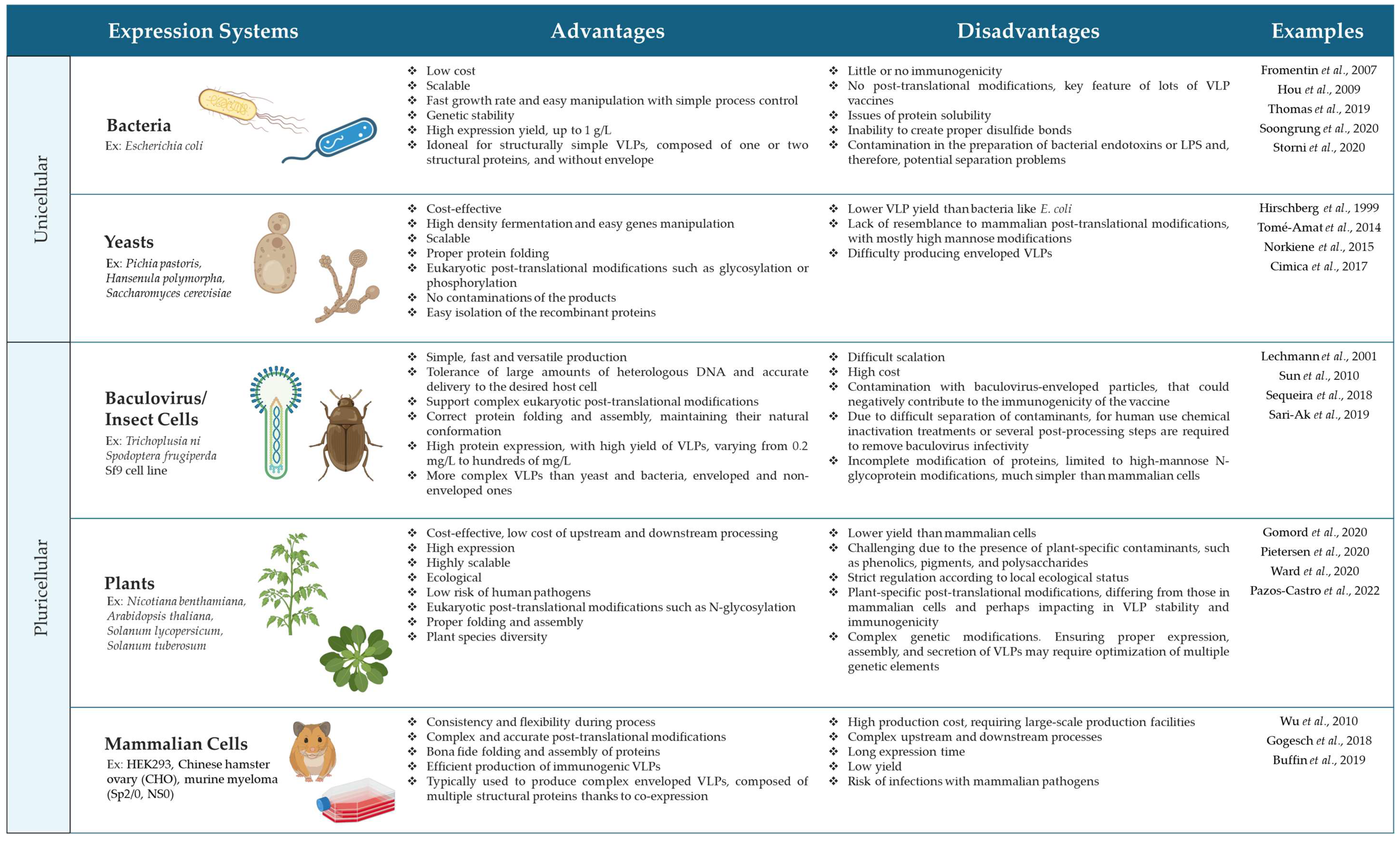Ijms 25 07429 sch001 Ijms 25 07429 sch001