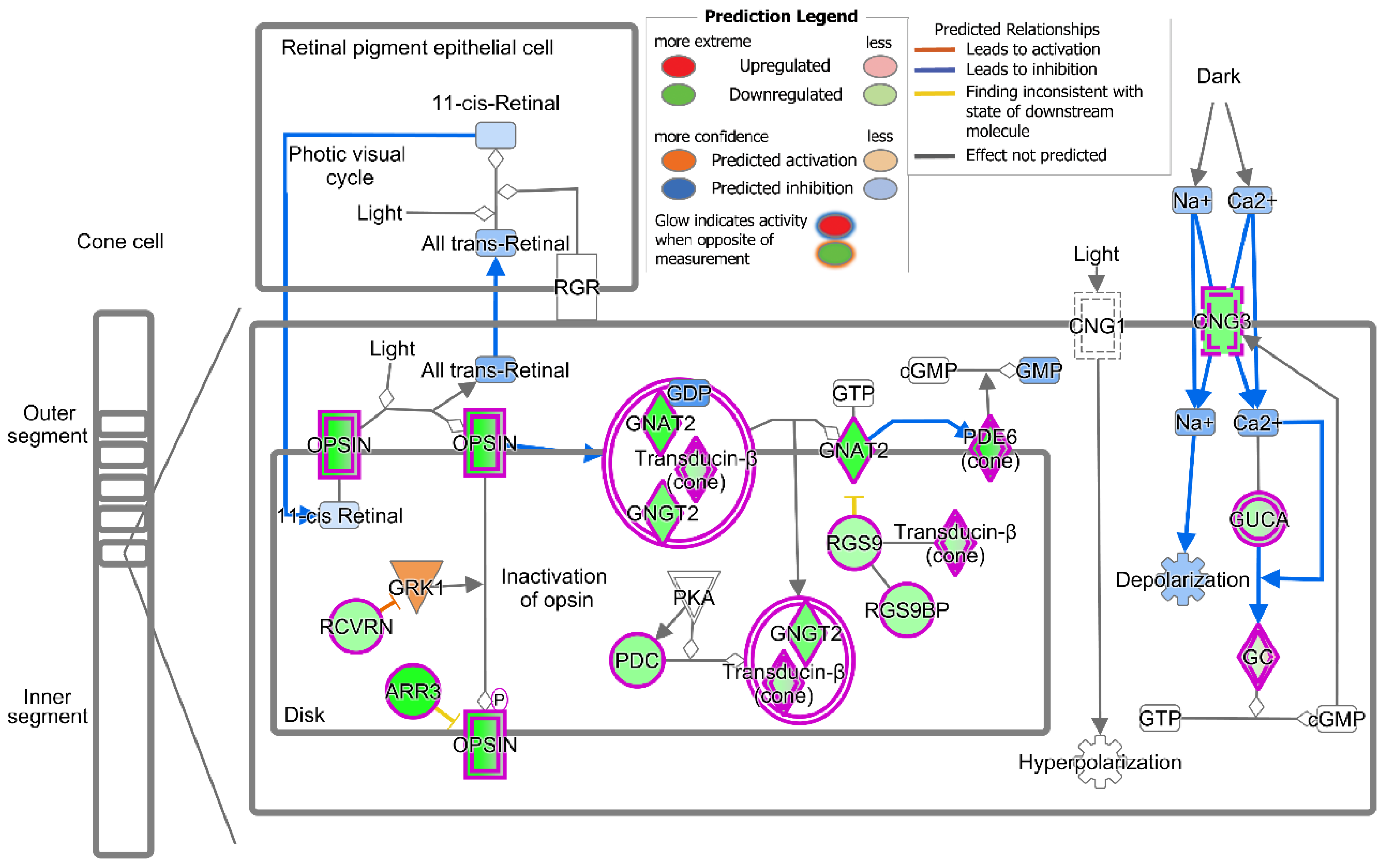 Ijms 25 07435 g004 Ijms 25 07435 g004