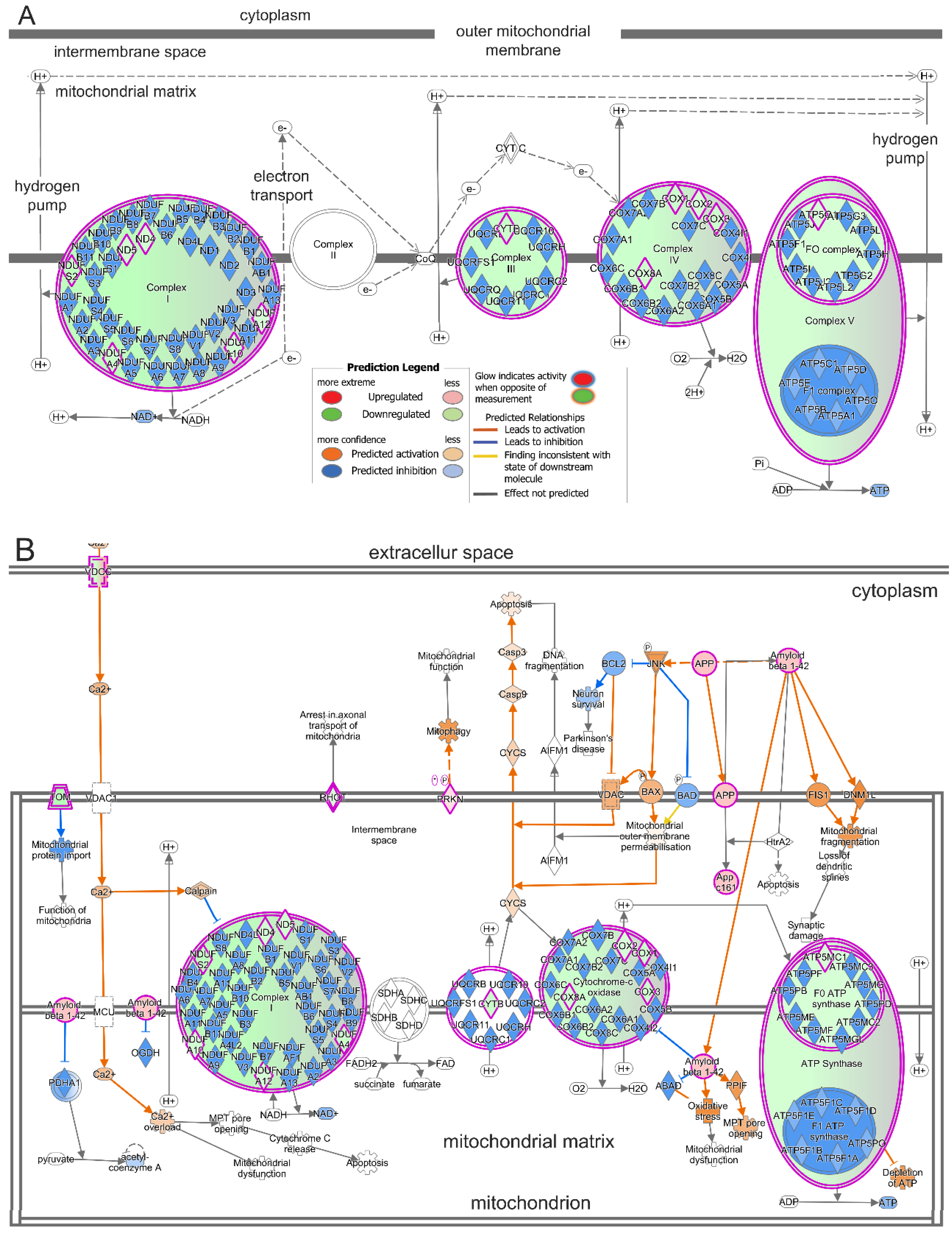 Ijms 25 07435 g005 Ijms 25 07435 g005