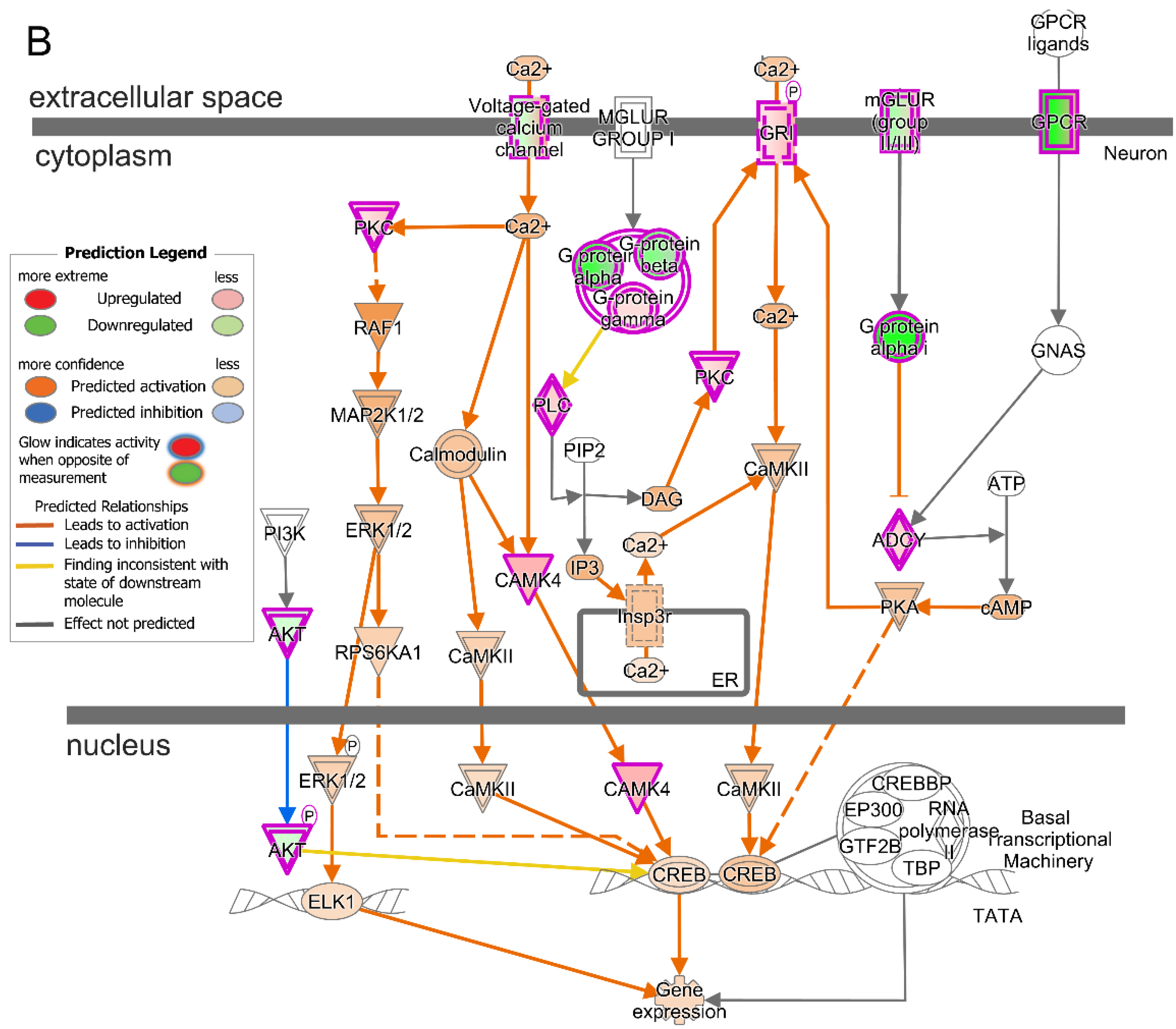 Ijms 25 07435 g006b Ijms 25 07435 g006b