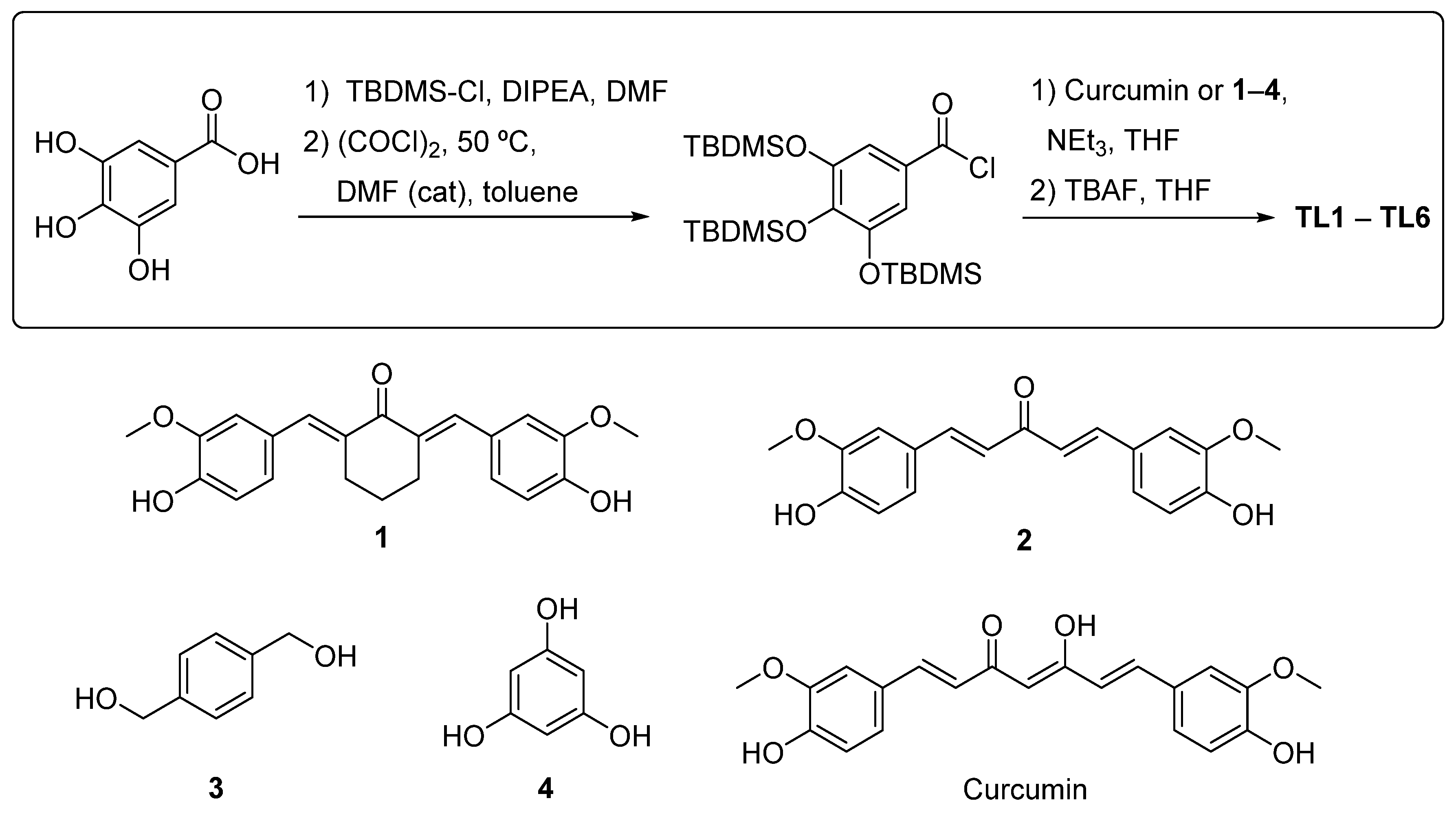 Ijms 25 07446 sch001