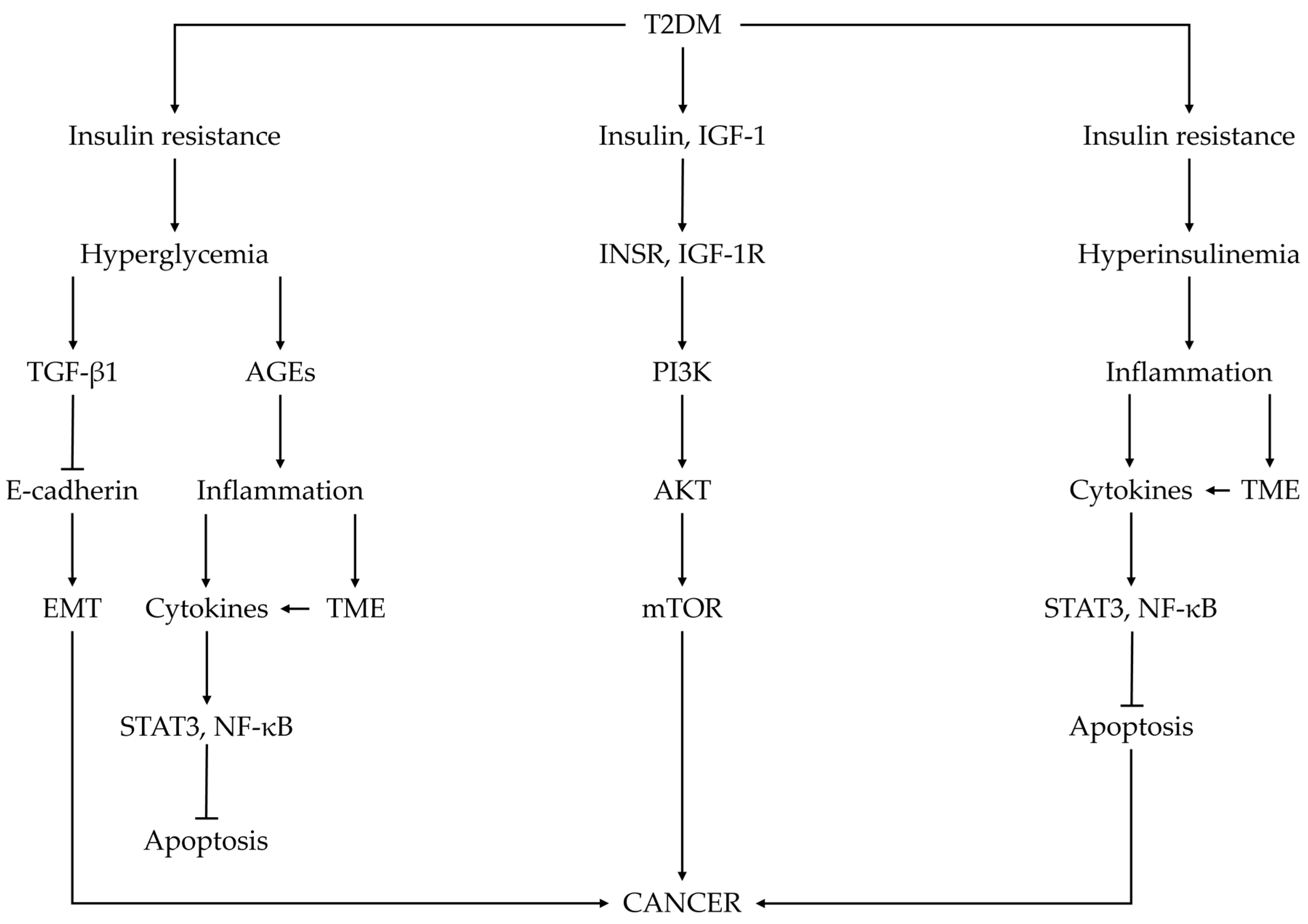 Ijms 25 07476 g001 Ijms 25 07476 g001