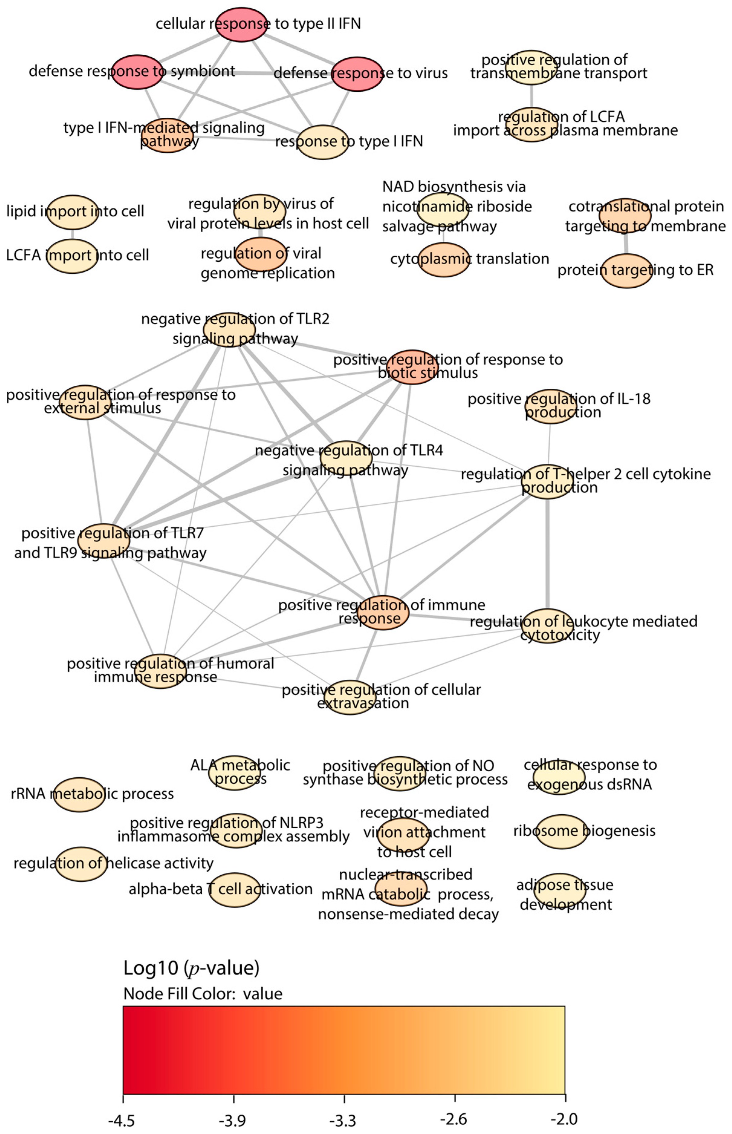 Ijms 25 07493 g002 Ijms 25 07493 g002