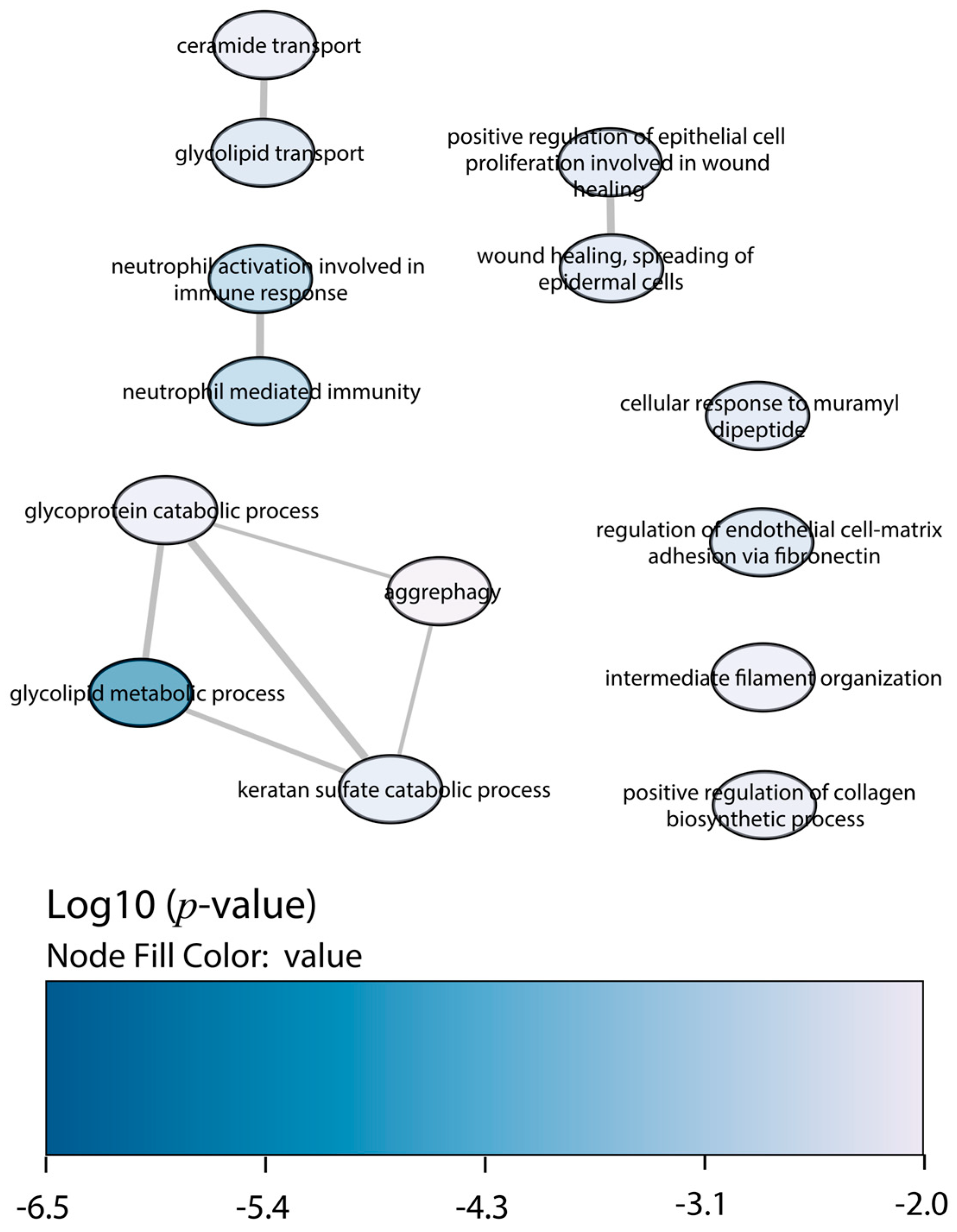 Ijms 25 07493 g003 Ijms 25 07493 g003
