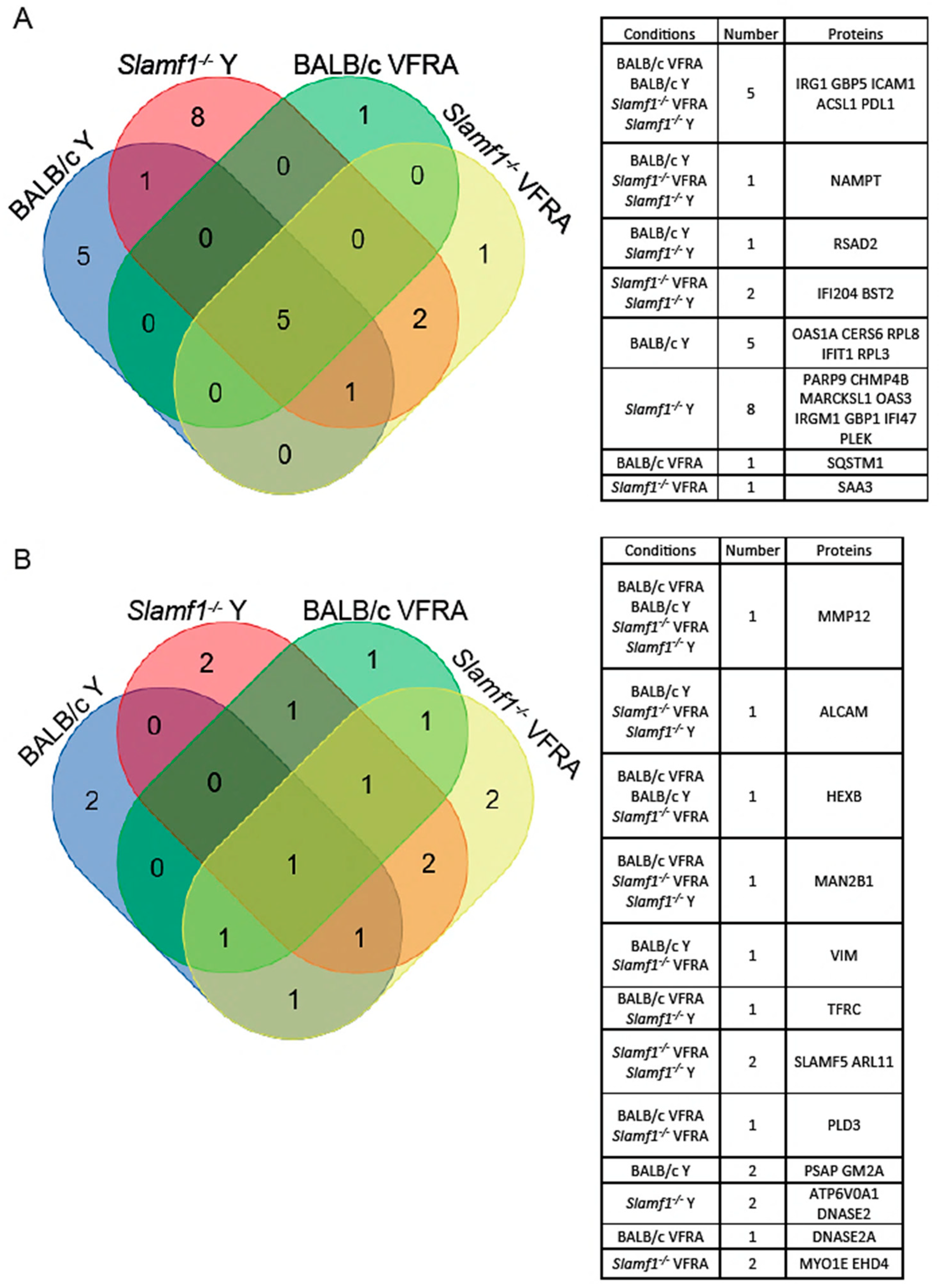 Ijms 25 07493 g007 Ijms 25 07493 g007
