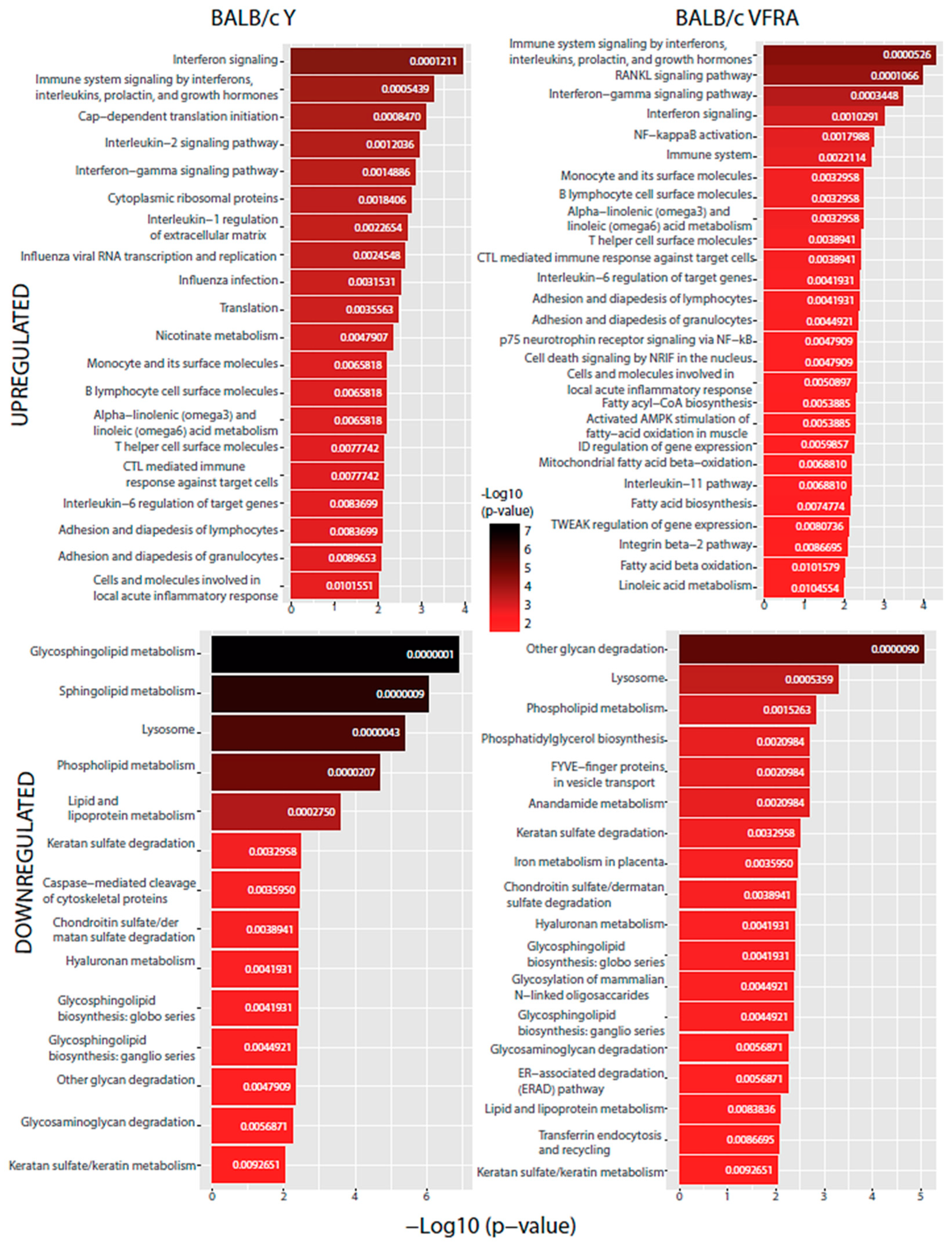 Ijms 25 07493 g009 Ijms 25 07493 g009