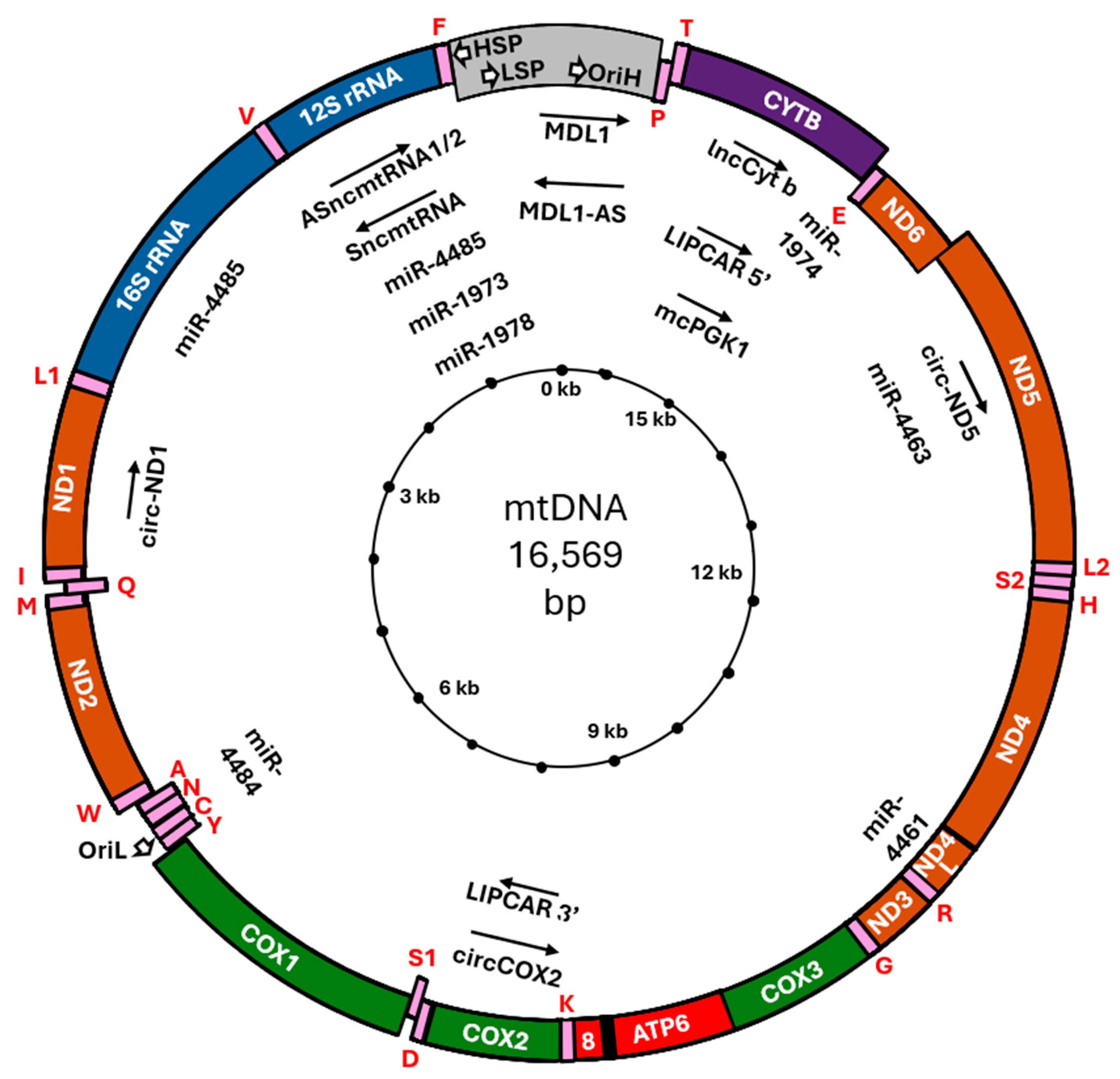 Ijms 25 07498 g001 Ijms 25 07498 g001