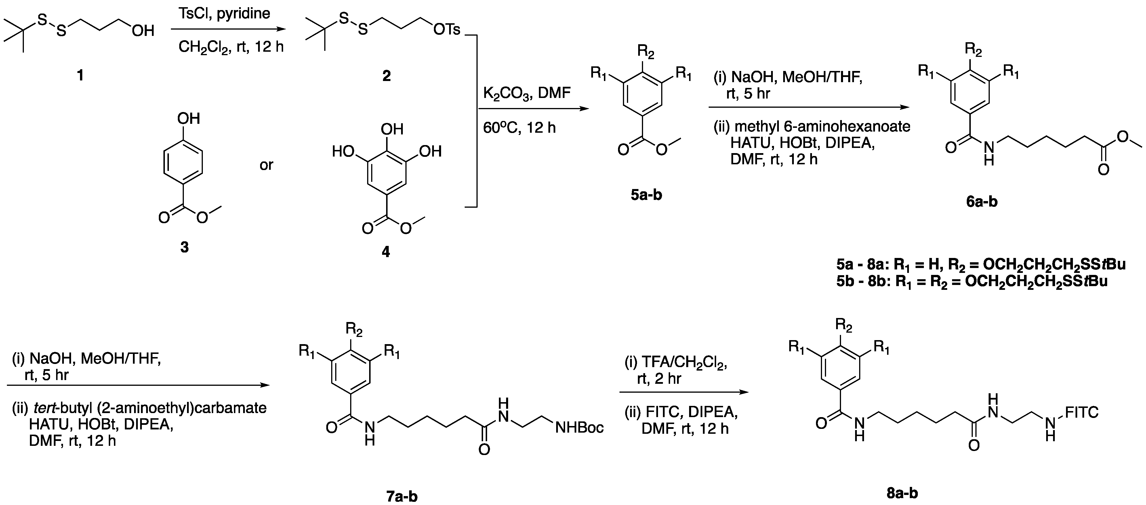 Ijms 25 07518 sch001