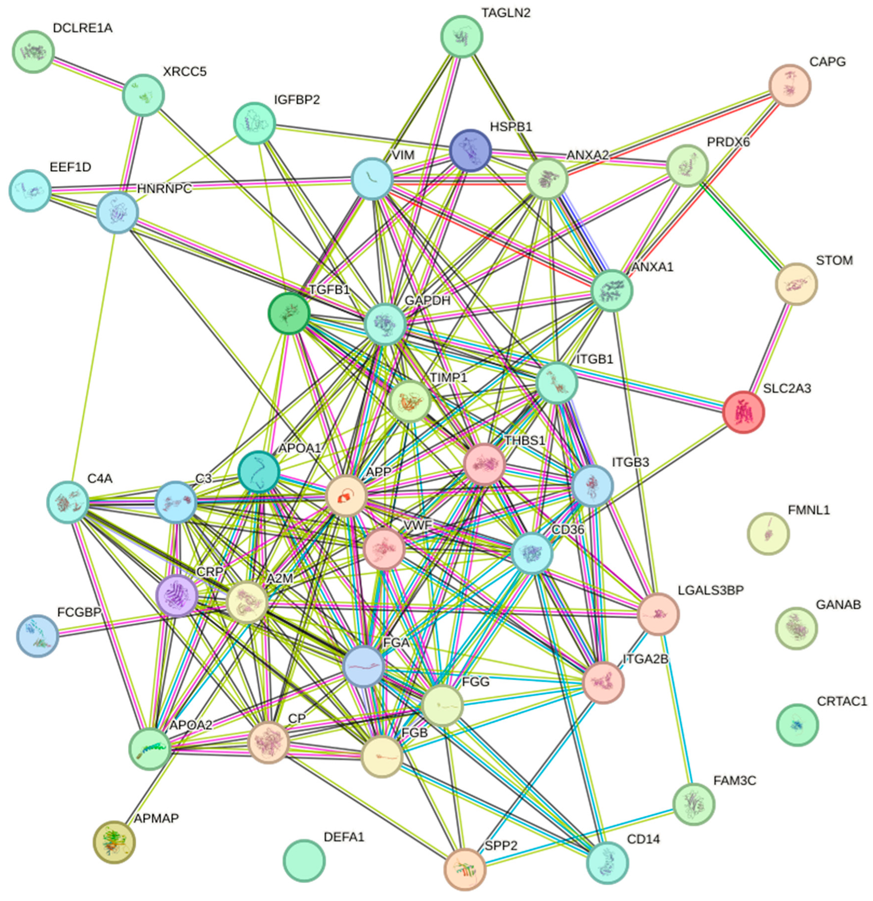 Ijms 25 07526 g003 Ijms 25 07526 g003