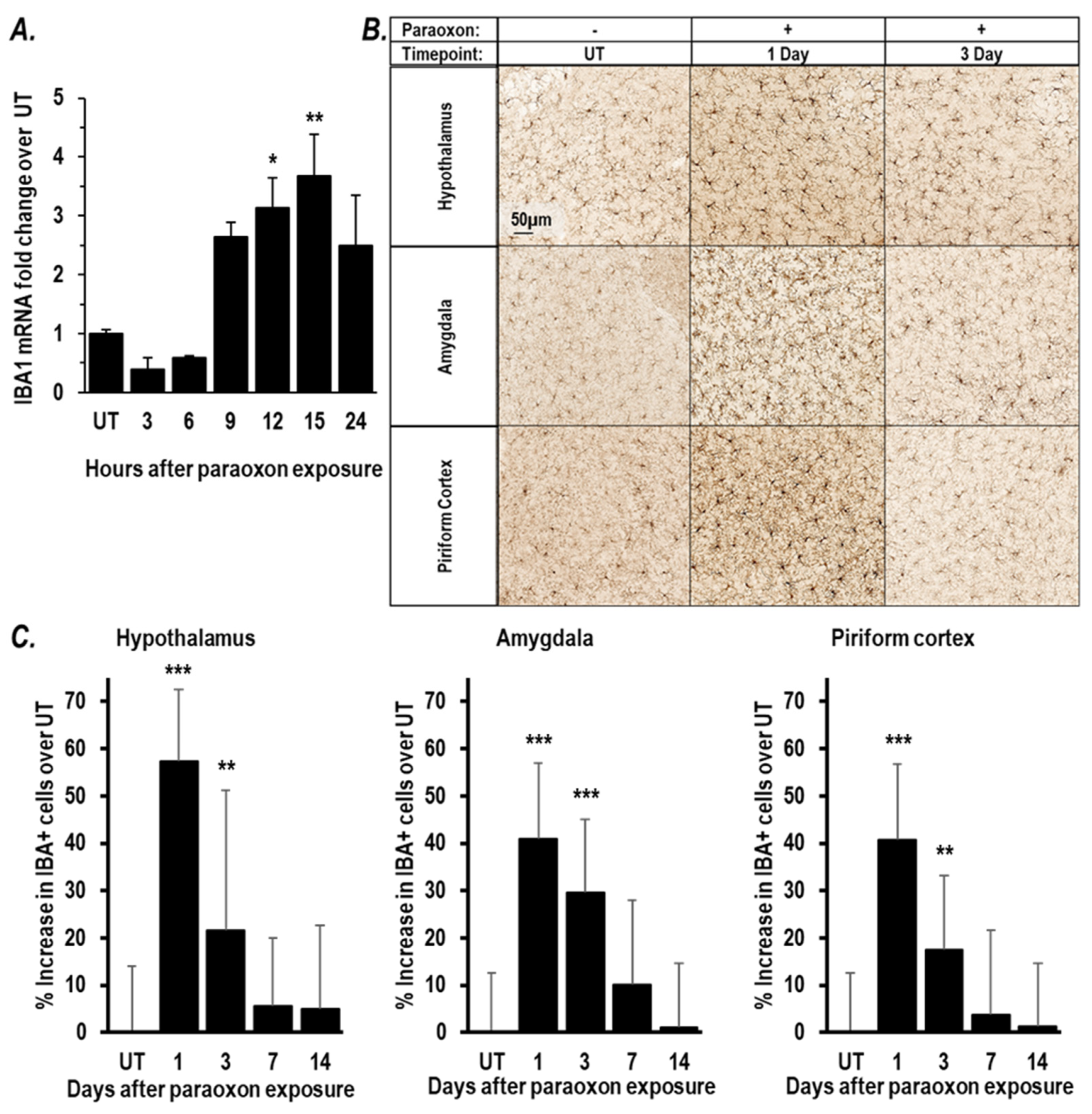 Ijms 25 07539 g001 Ijms 25 07539 g001