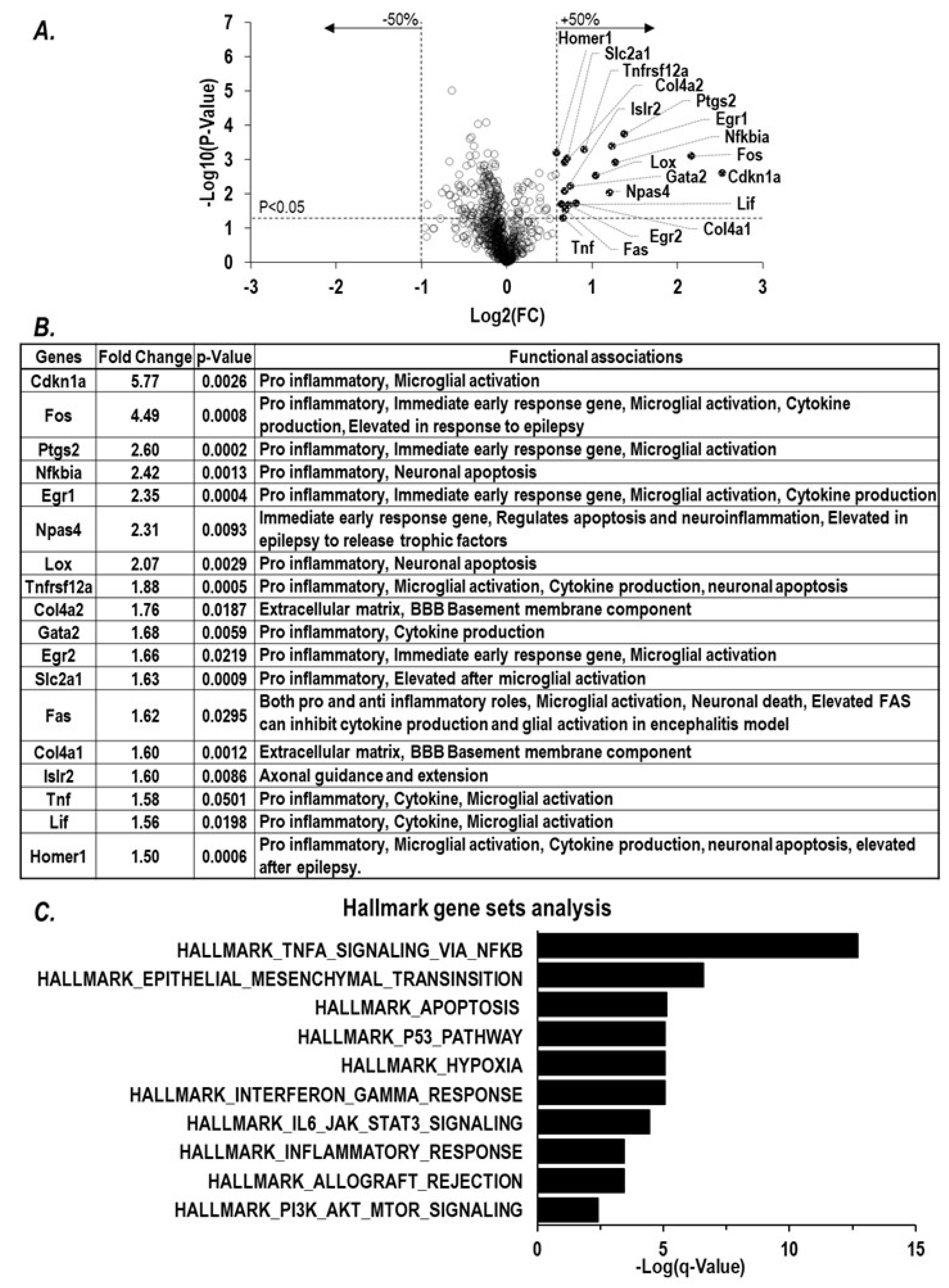 Ijms 25 07539 g002 Ijms 25 07539 g002