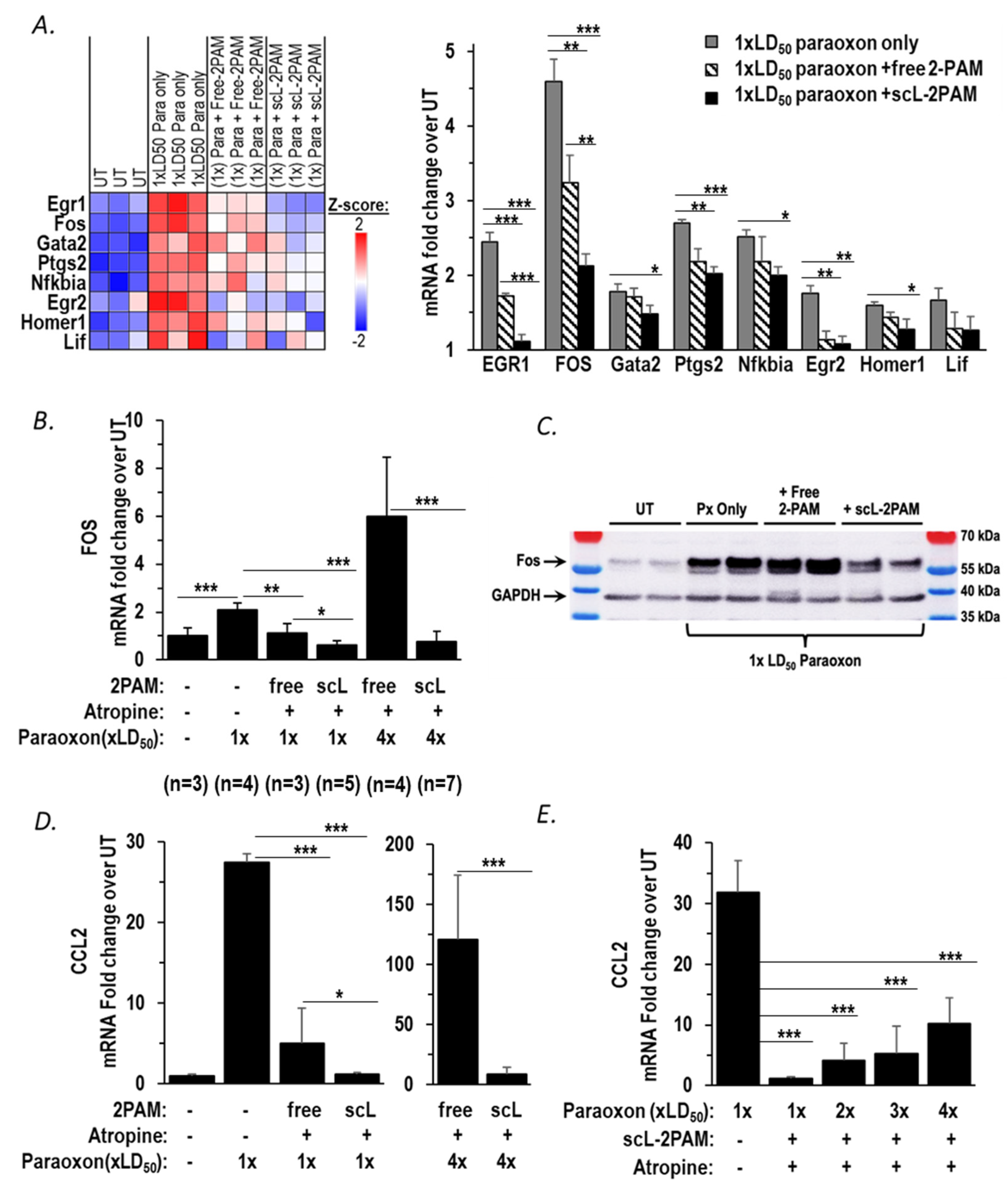 Ijms 25 07539 g004 Ijms 25 07539 g004
