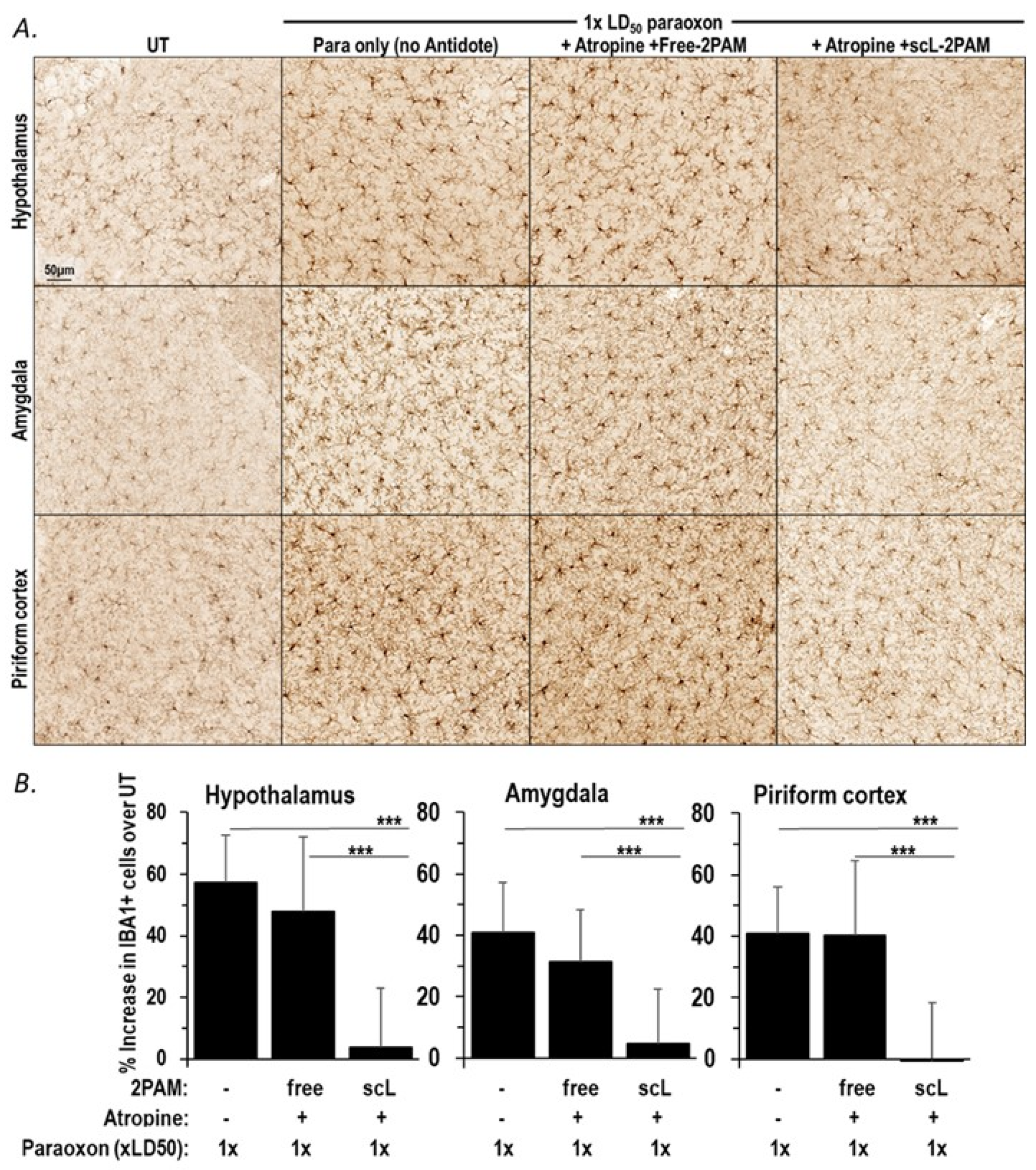 Ijms 25 07539 g005 Ijms 25 07539 g005