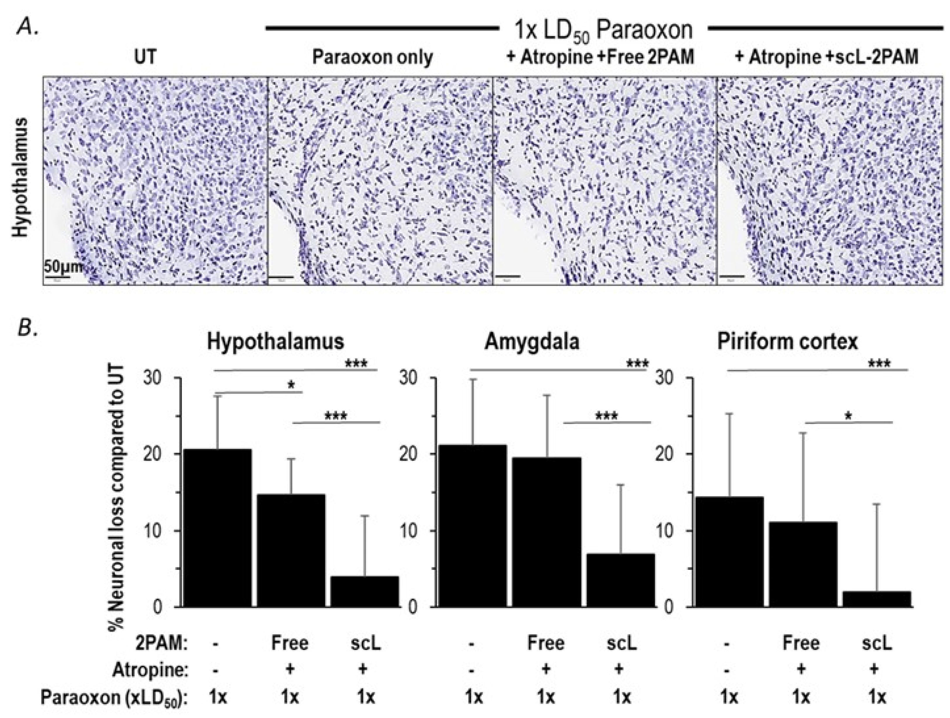 Ijms 25 07539 g006 Ijms 25 07539 g006