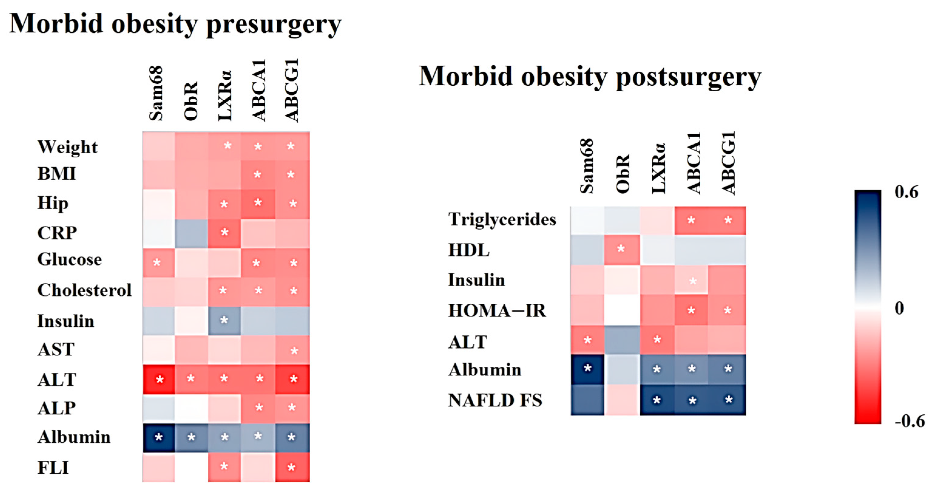 Ijms 25 07549 g003 Ijms 25 07549 g003