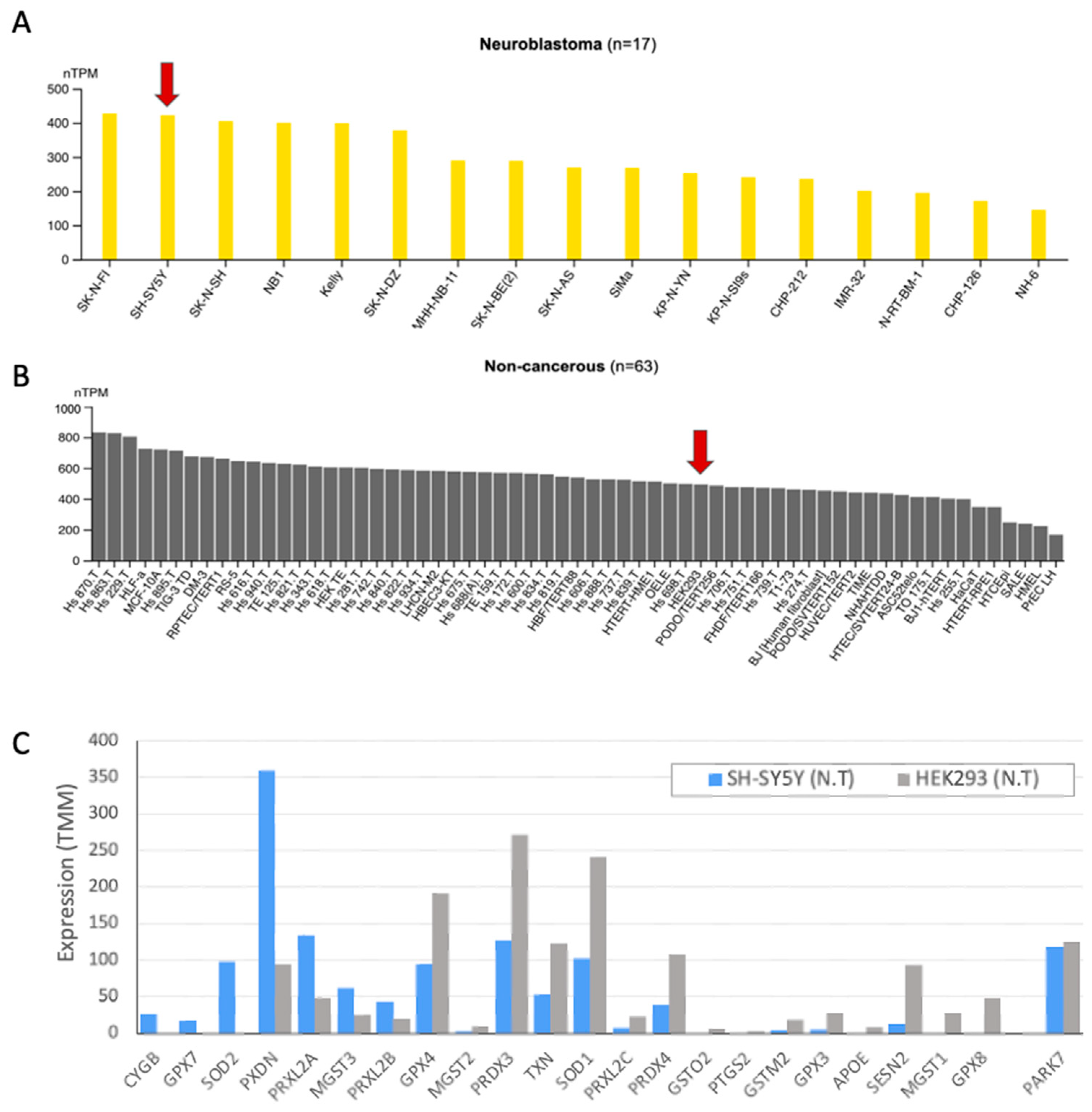 Ijms 25 07550 g001 Ijms 25 07550 g001