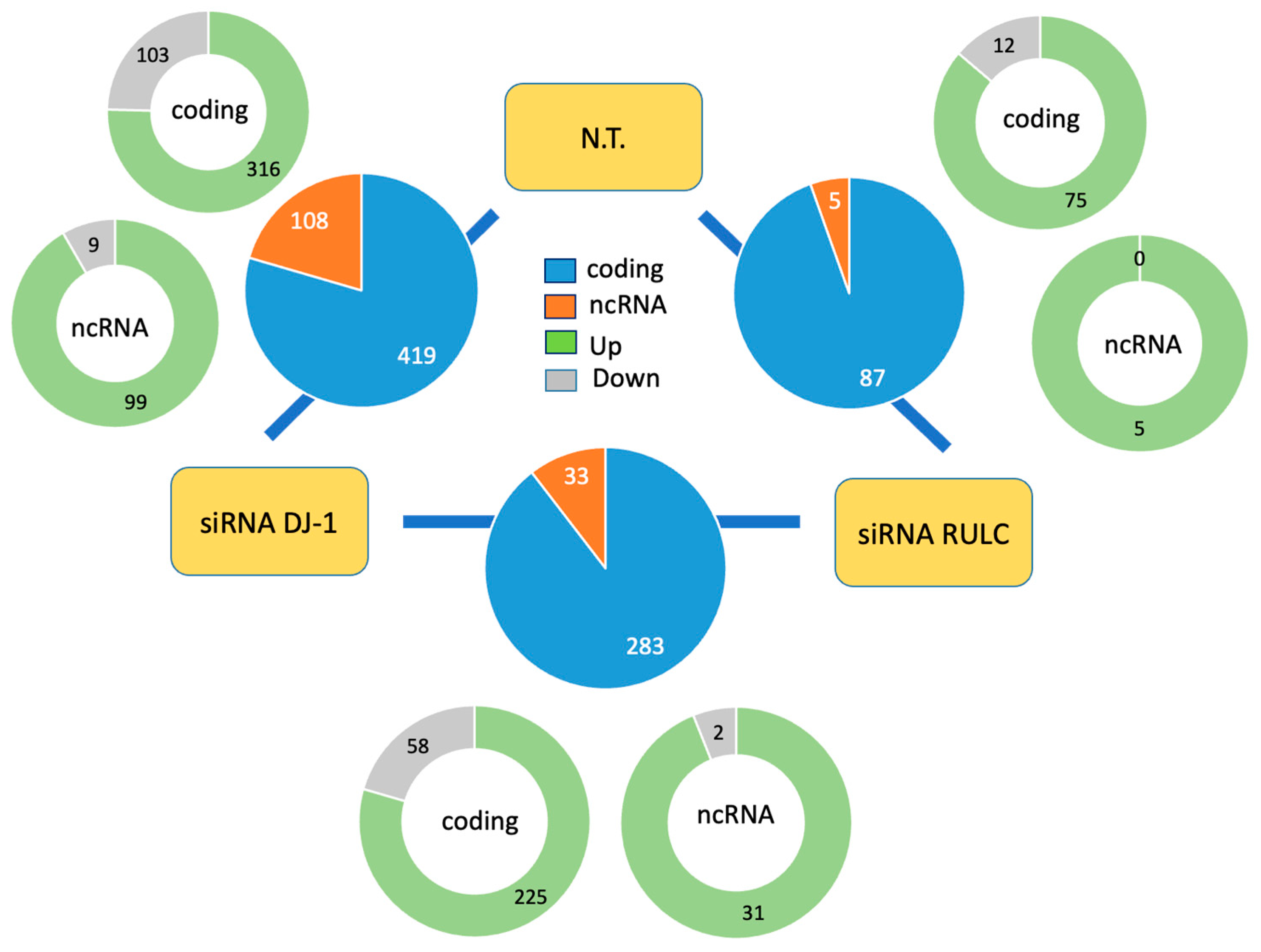 Ijms 25 07550 g003 Ijms 25 07550 g003