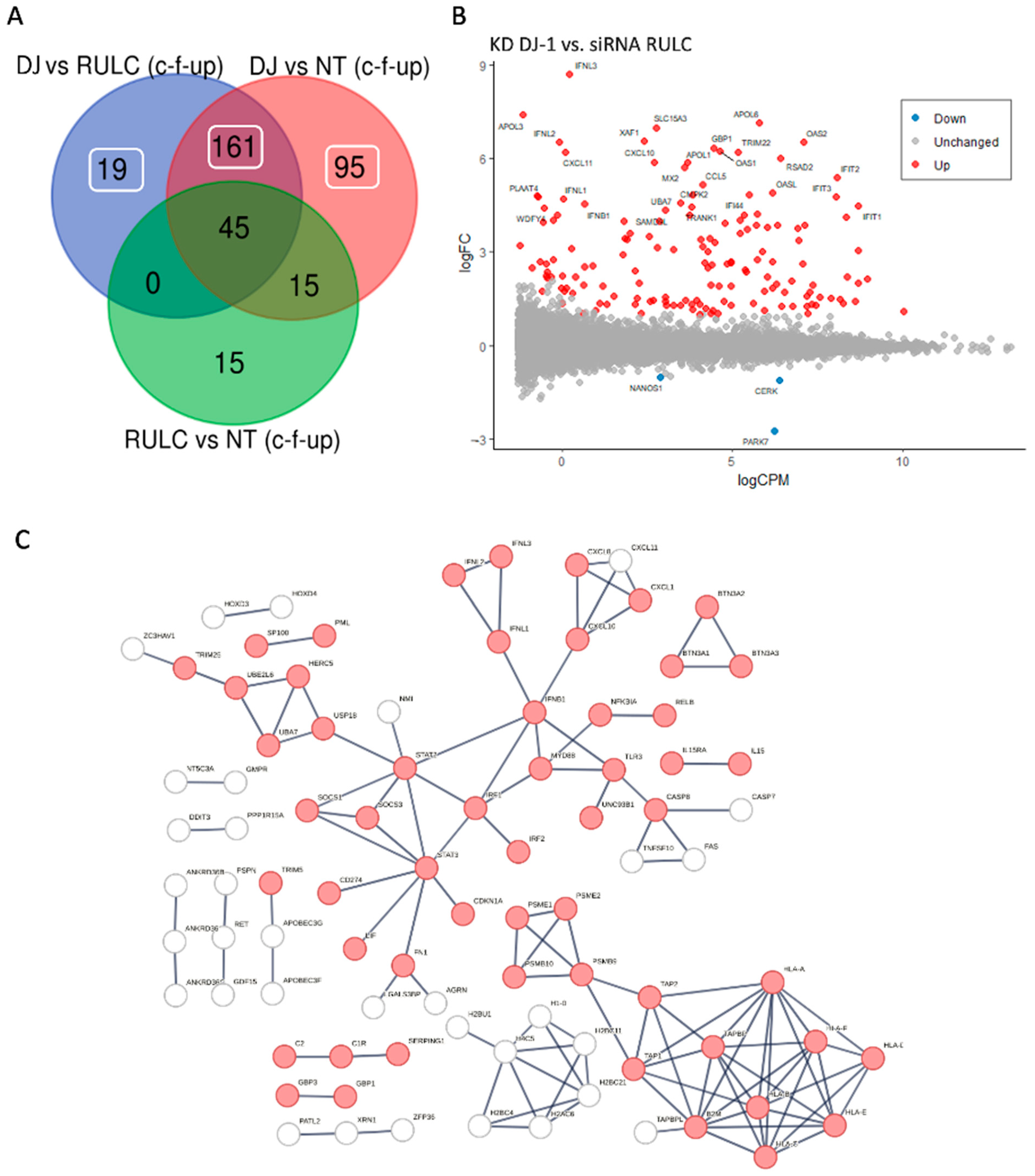 Ijms 25 07550 g005 Ijms 25 07550 g005
