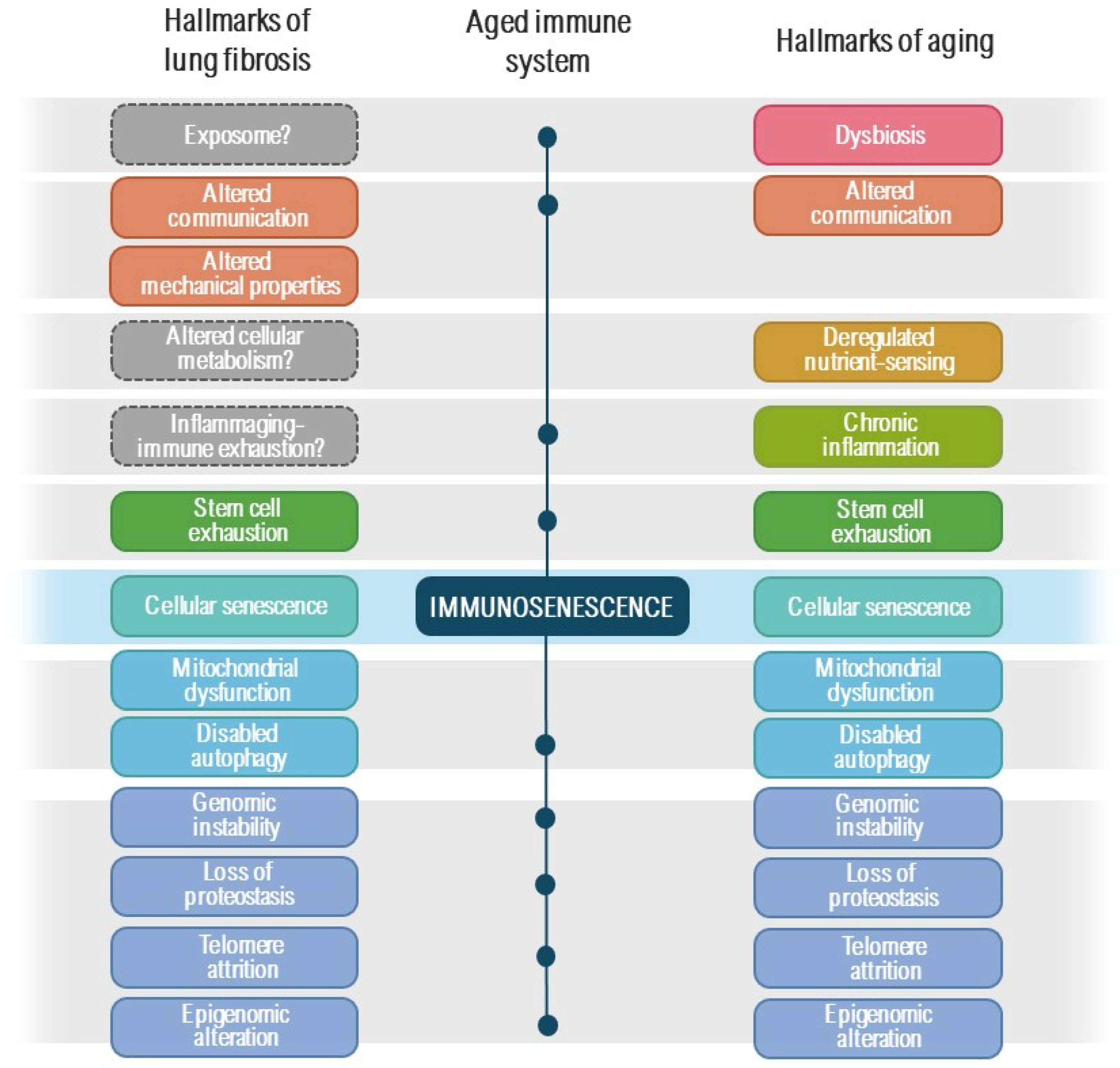 Ijms 25 07554 g001 Ijms 25 07554 g001