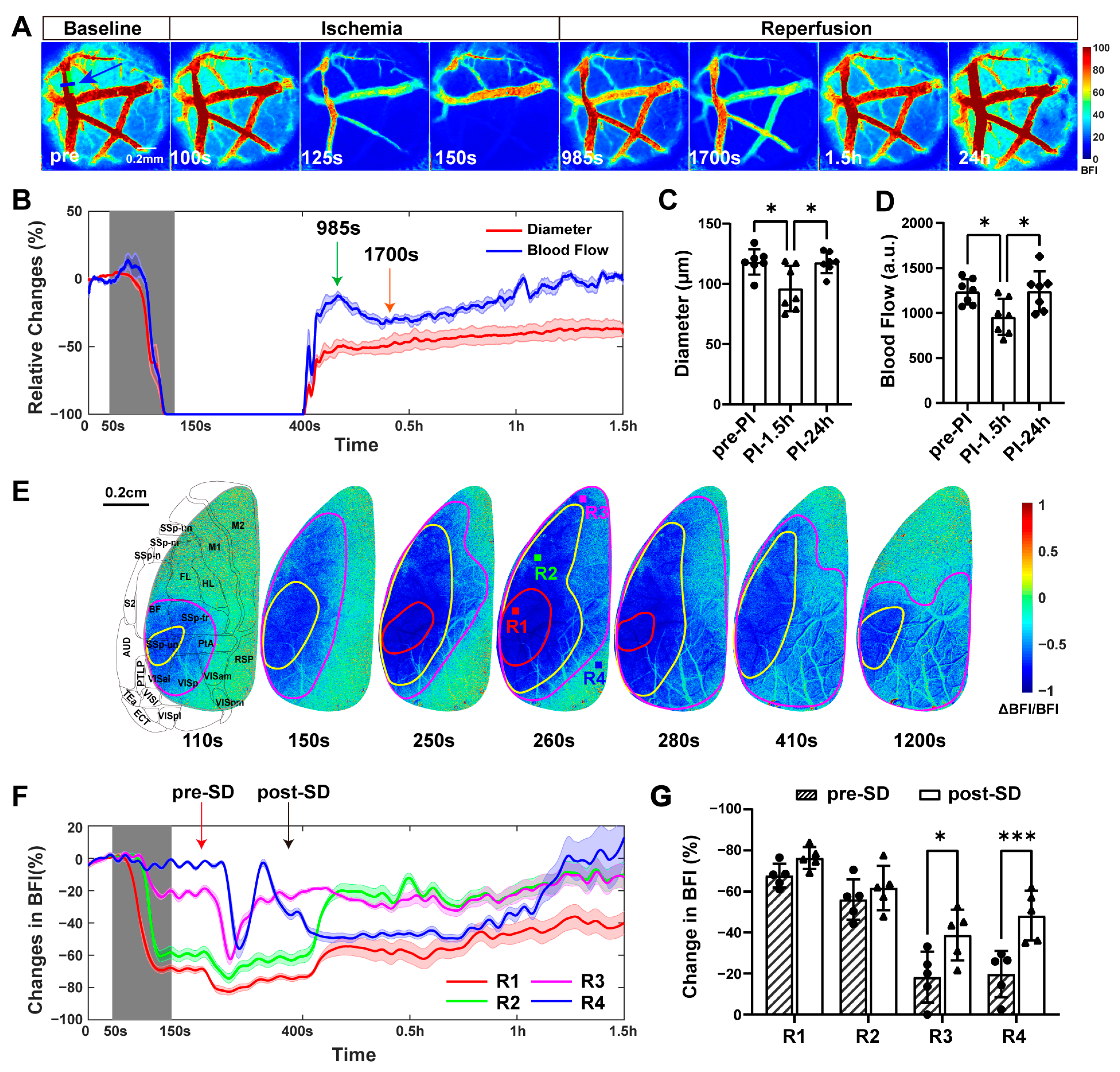 Ijms 25 07557 g001 Ijms 25 07557 g001