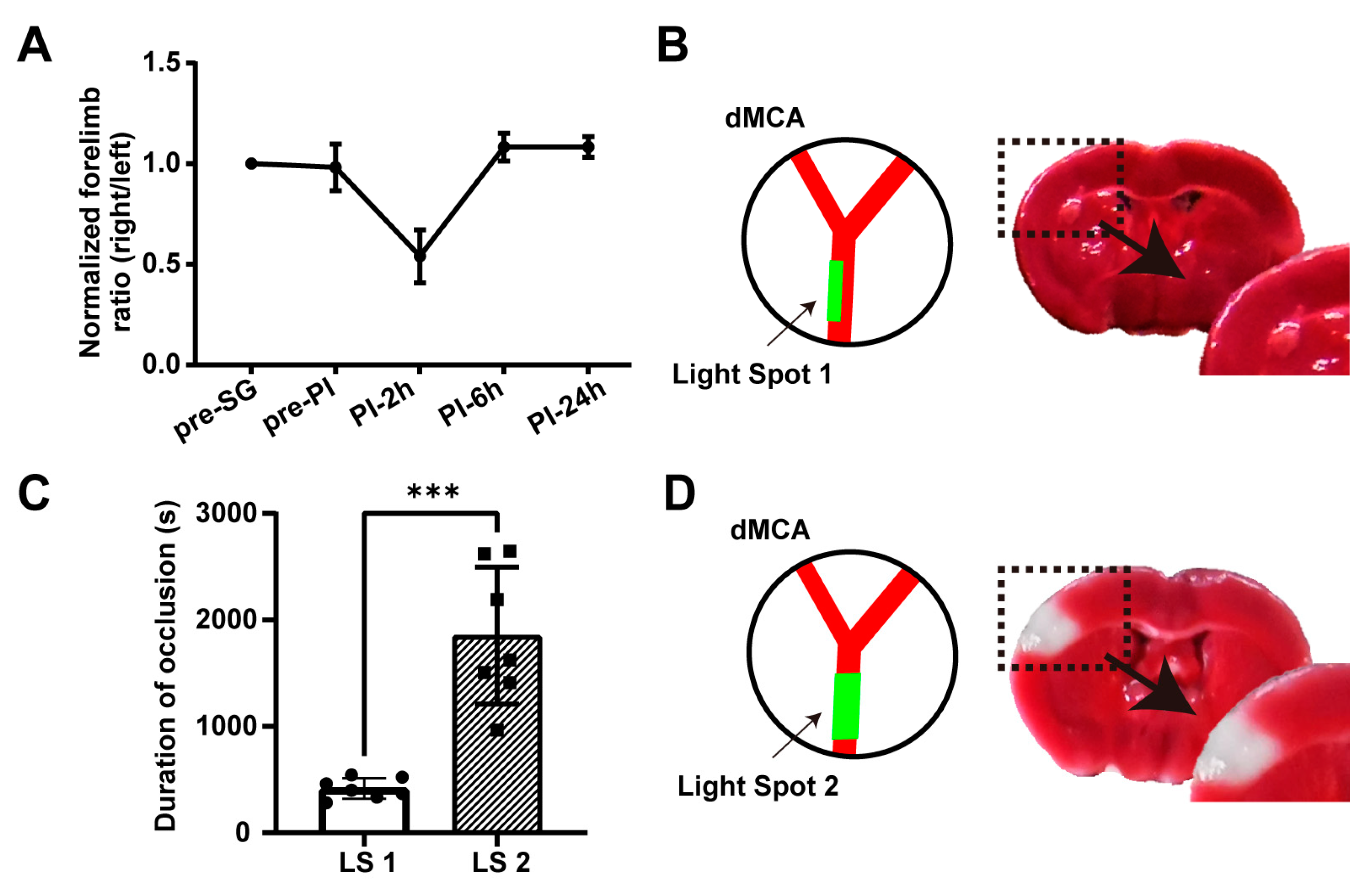 Ijms 25 07557 g002 Ijms 25 07557 g002
