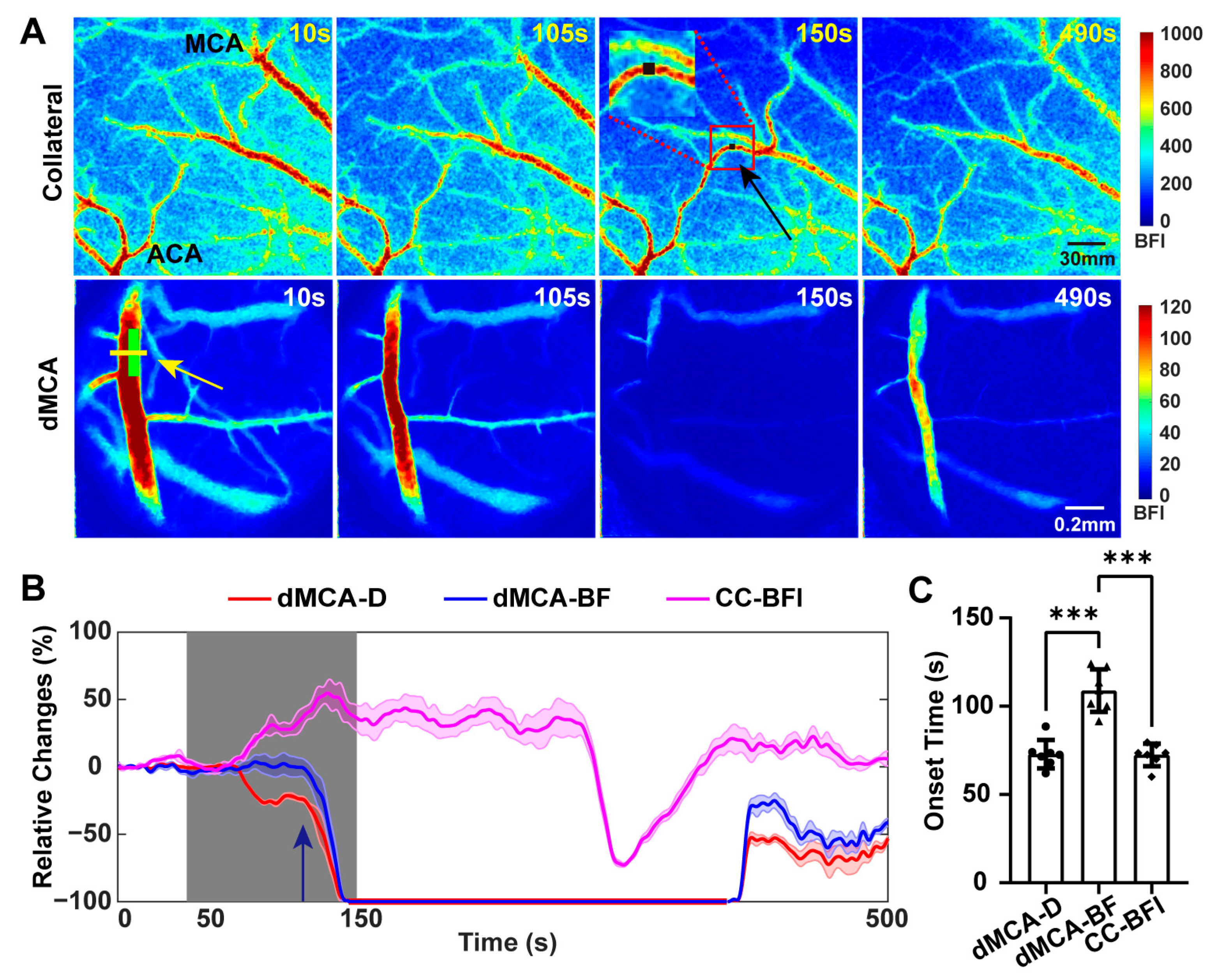 Ijms 25 07557 g003 Ijms 25 07557 g003