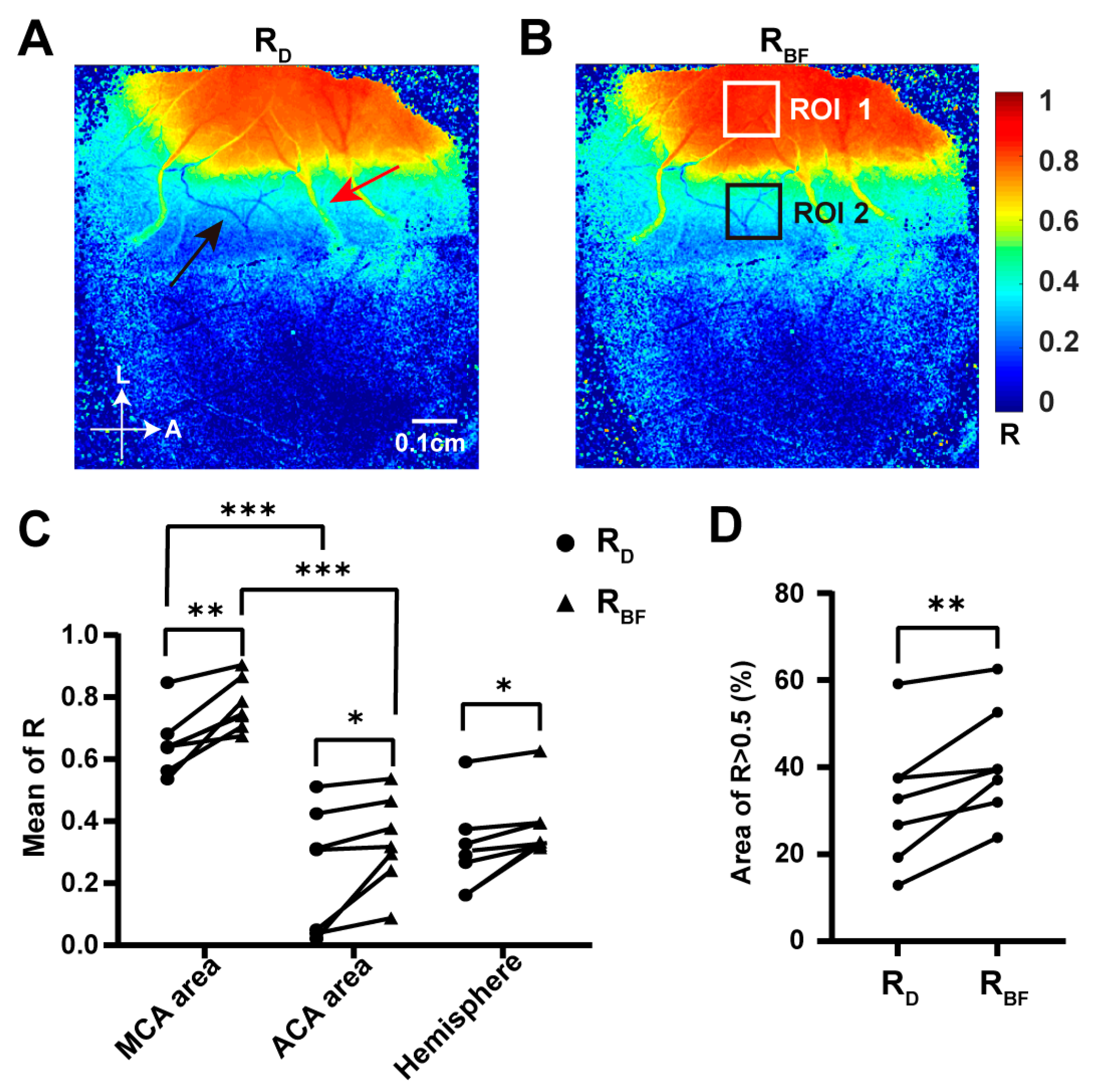 Ijms 25 07557 g006 Ijms 25 07557 g006