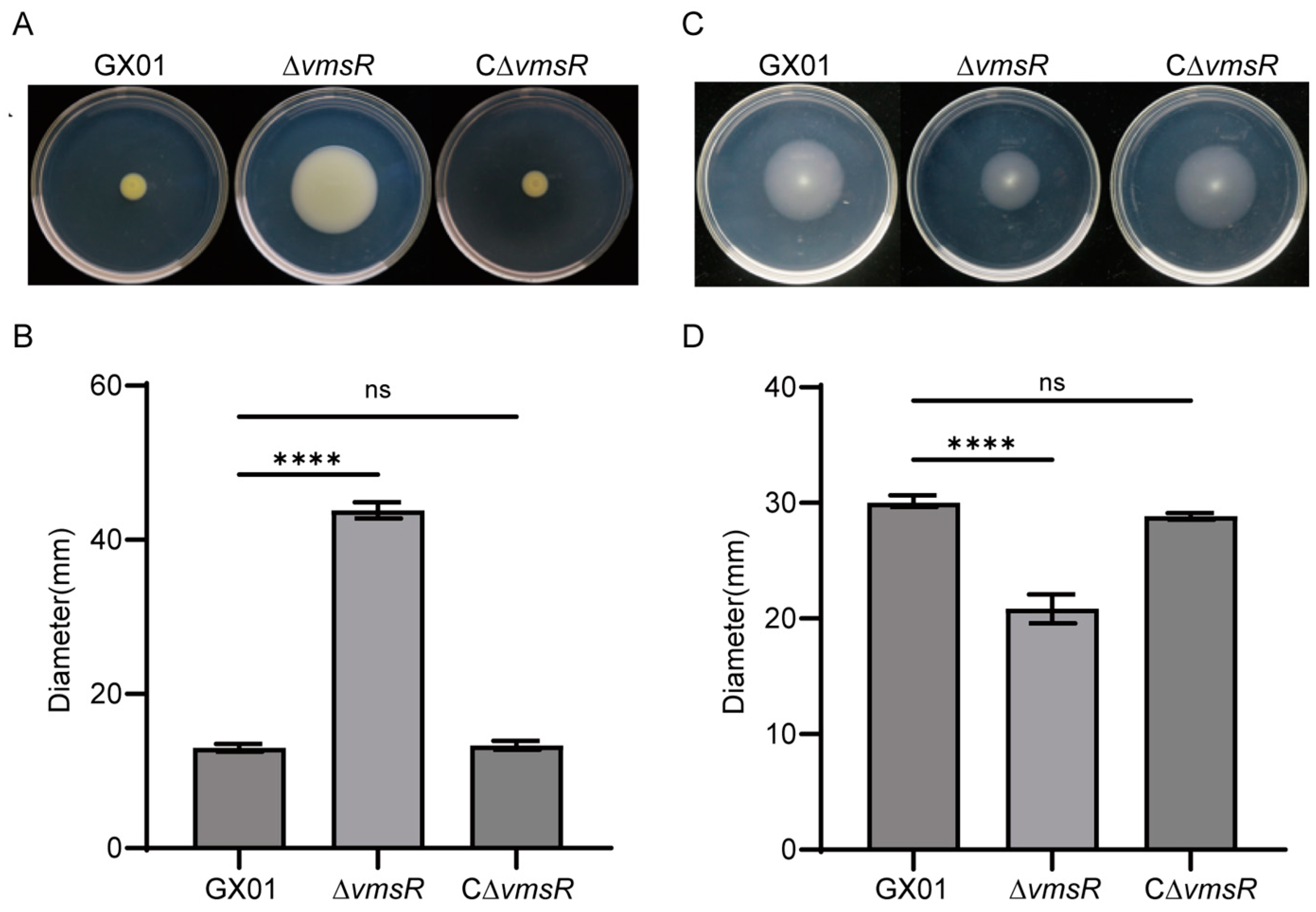 Ijms 25 07595 g004 Ijms 25 07595 g004