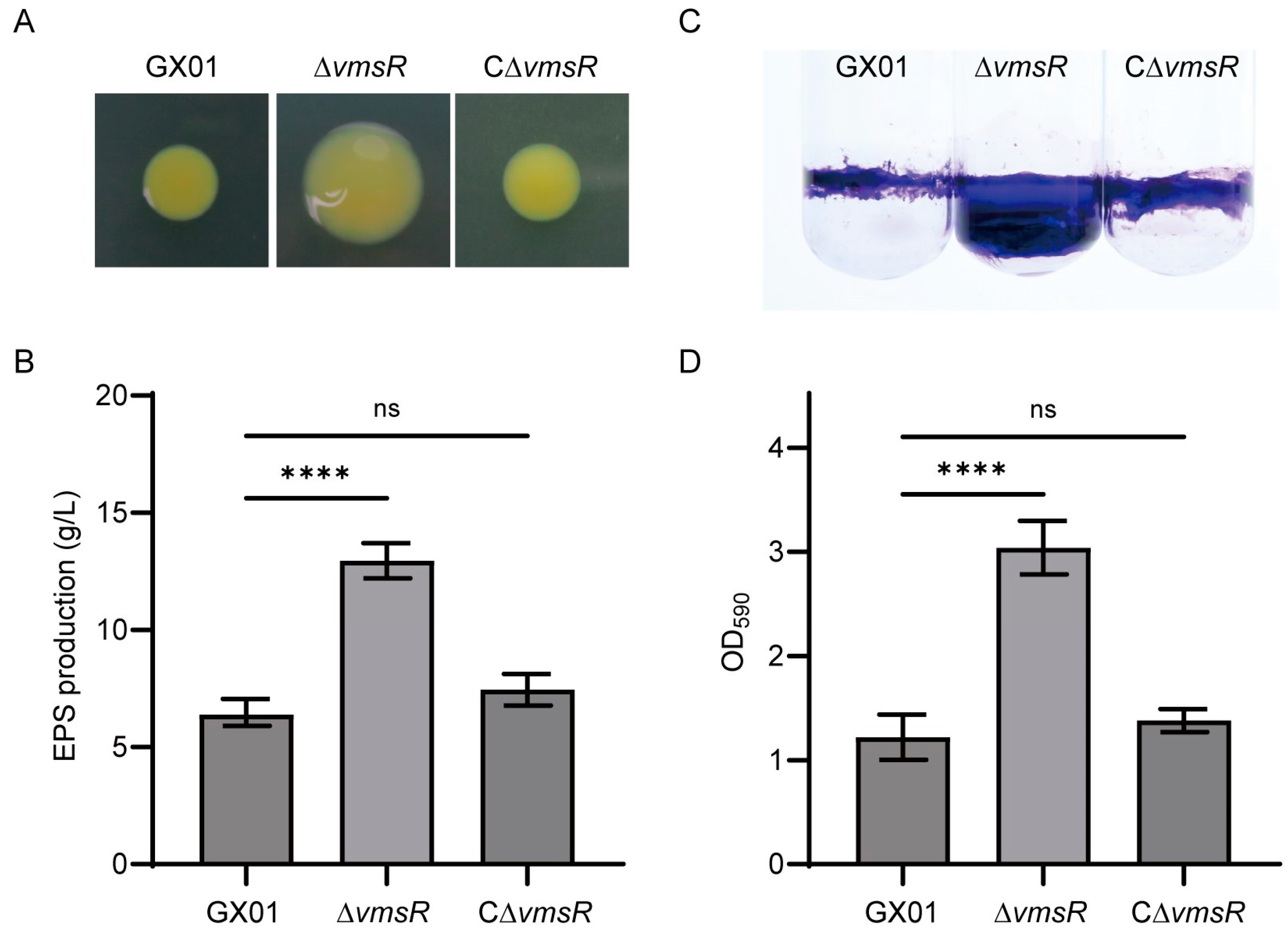 Ijms 25 07595 g006 Ijms 25 07595 g006