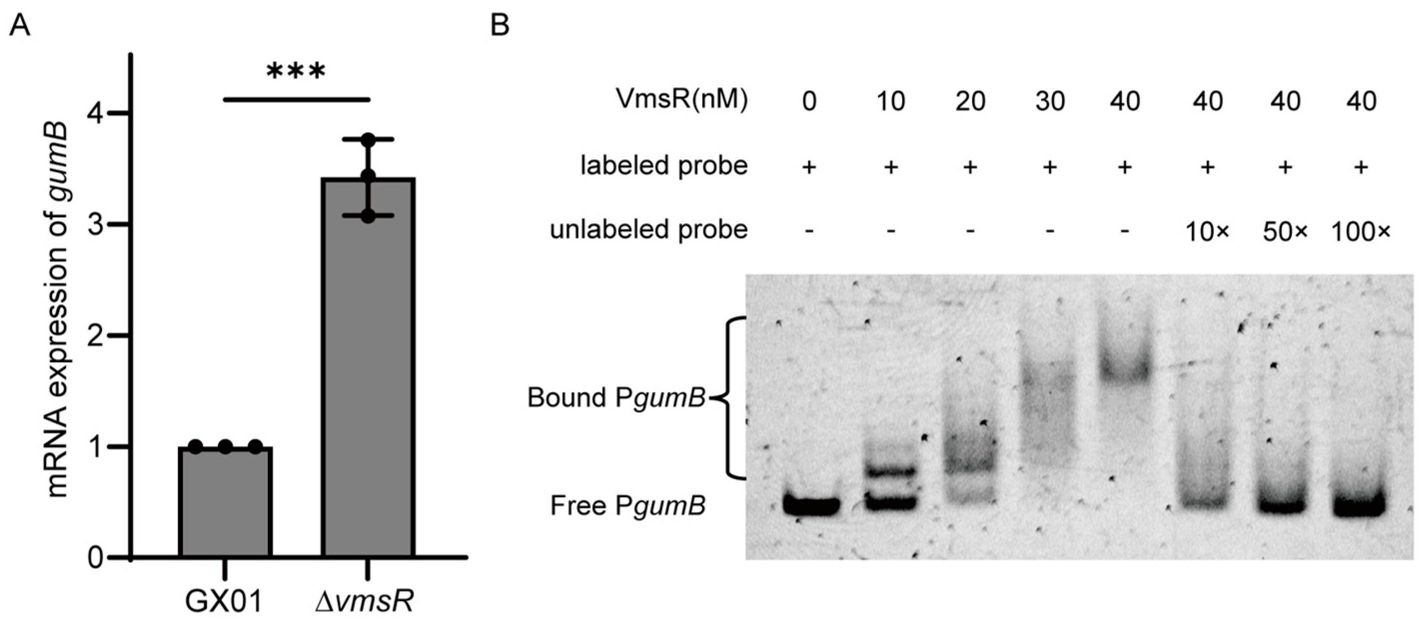 Ijms 25 07595 g007 Ijms 25 07595 g007