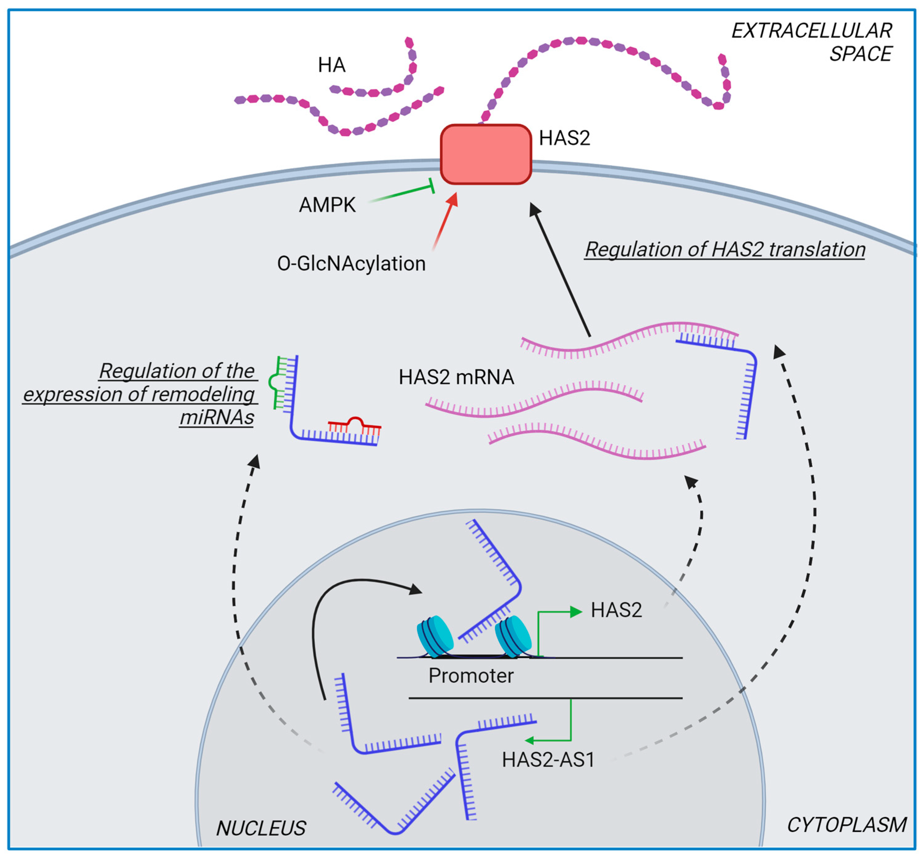 Ijms 25 07607 g003 Ijms 25 07607 g003