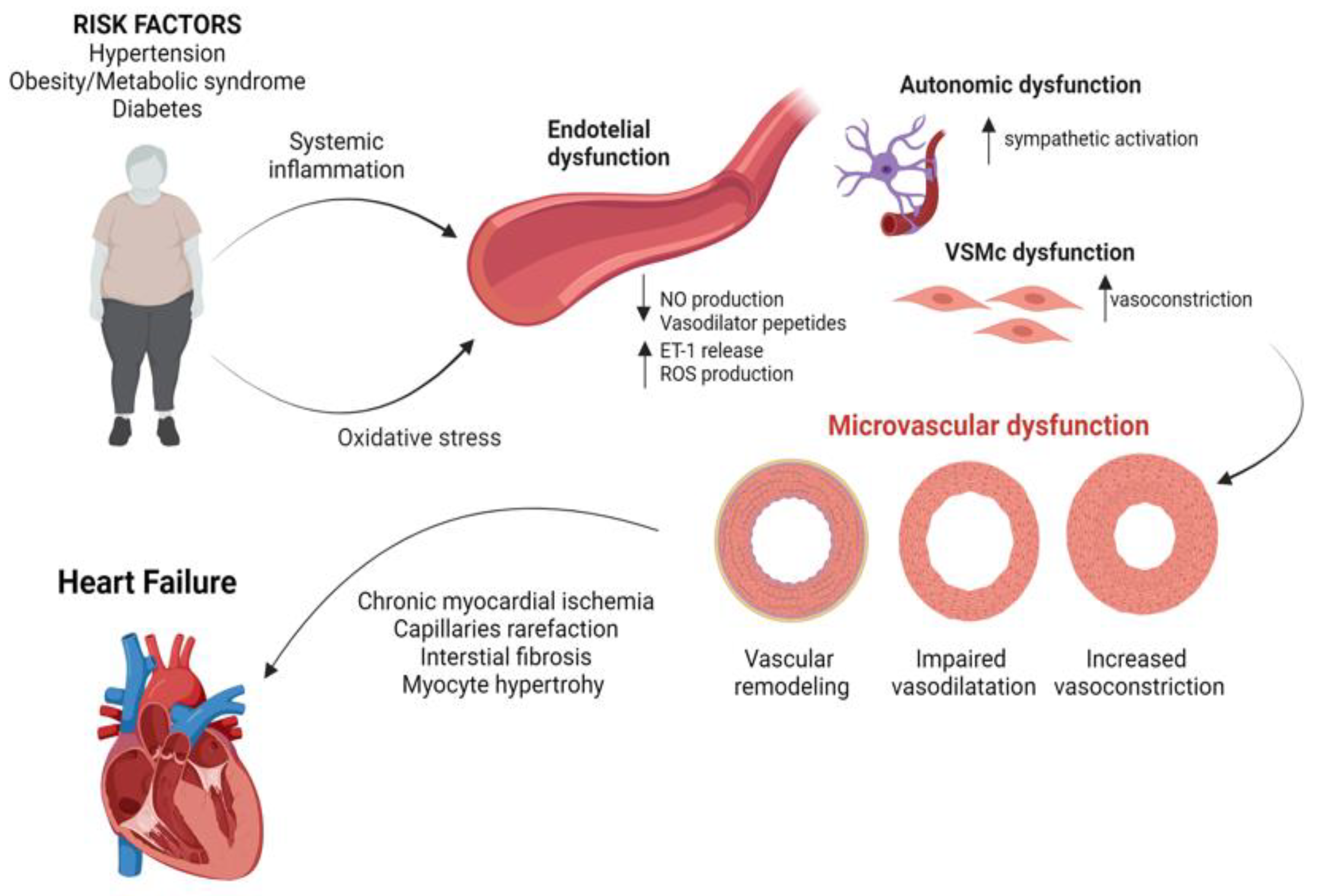 Ijms 25 07628 g001 Ijms 25 07628 g001