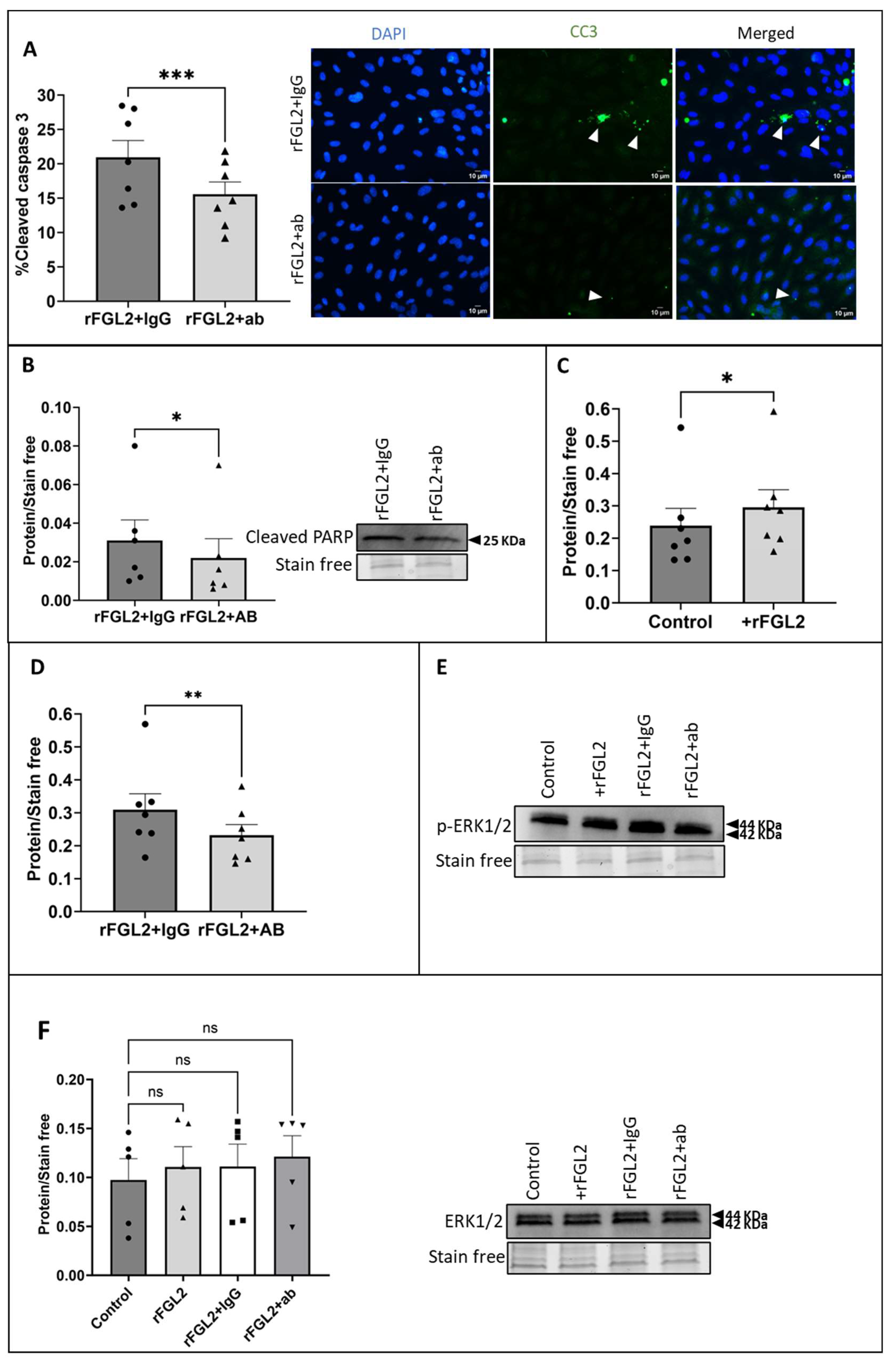 Ijms 25 07638 g006 Ijms 25 07638 g006